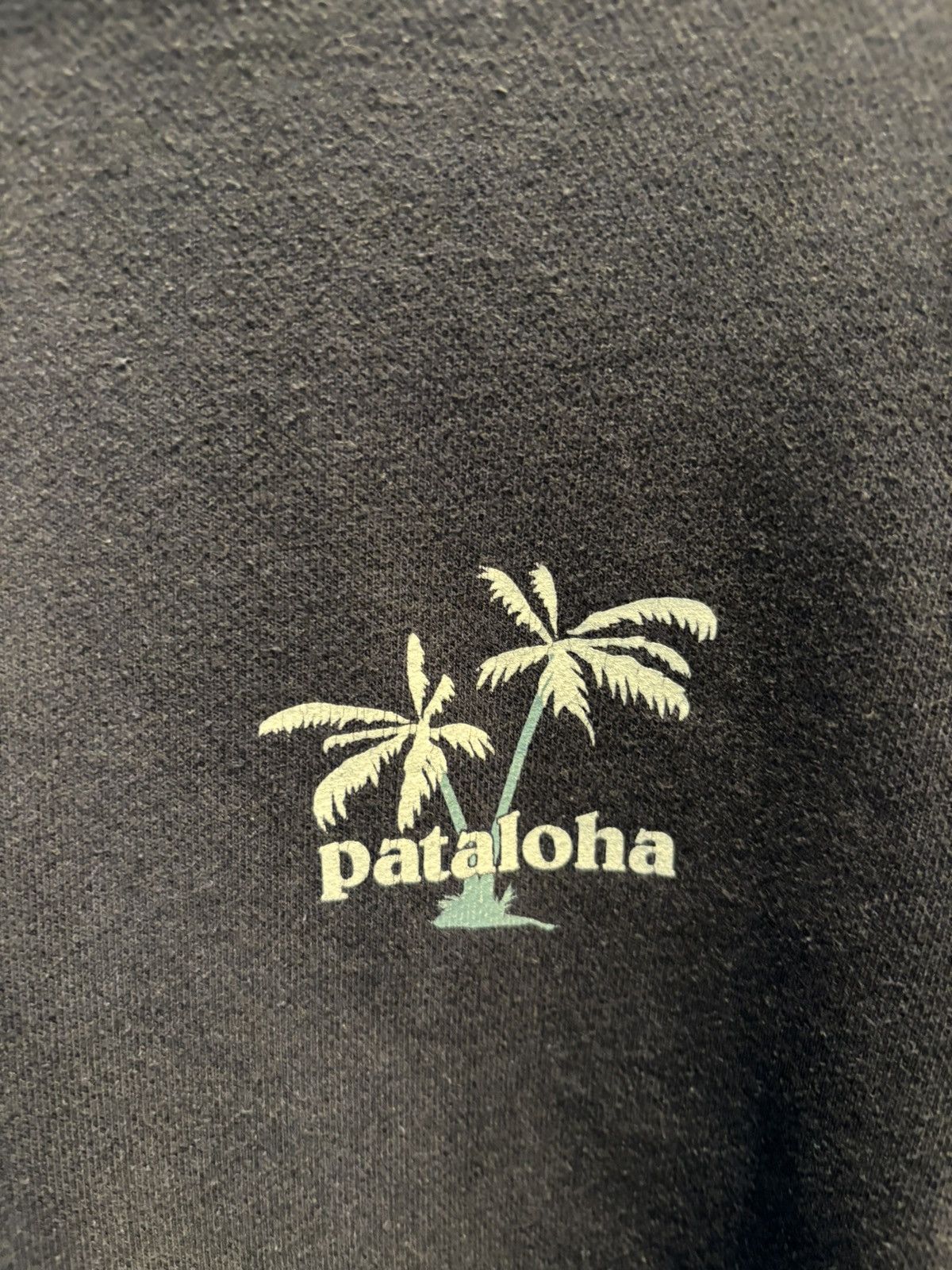 Patagonia Patagonia “Pataloha” Honolulu Hawaii 🏝️ Exclusive Hoodie Size US S / EU 44-46 / 1 - 7 Thumbnail