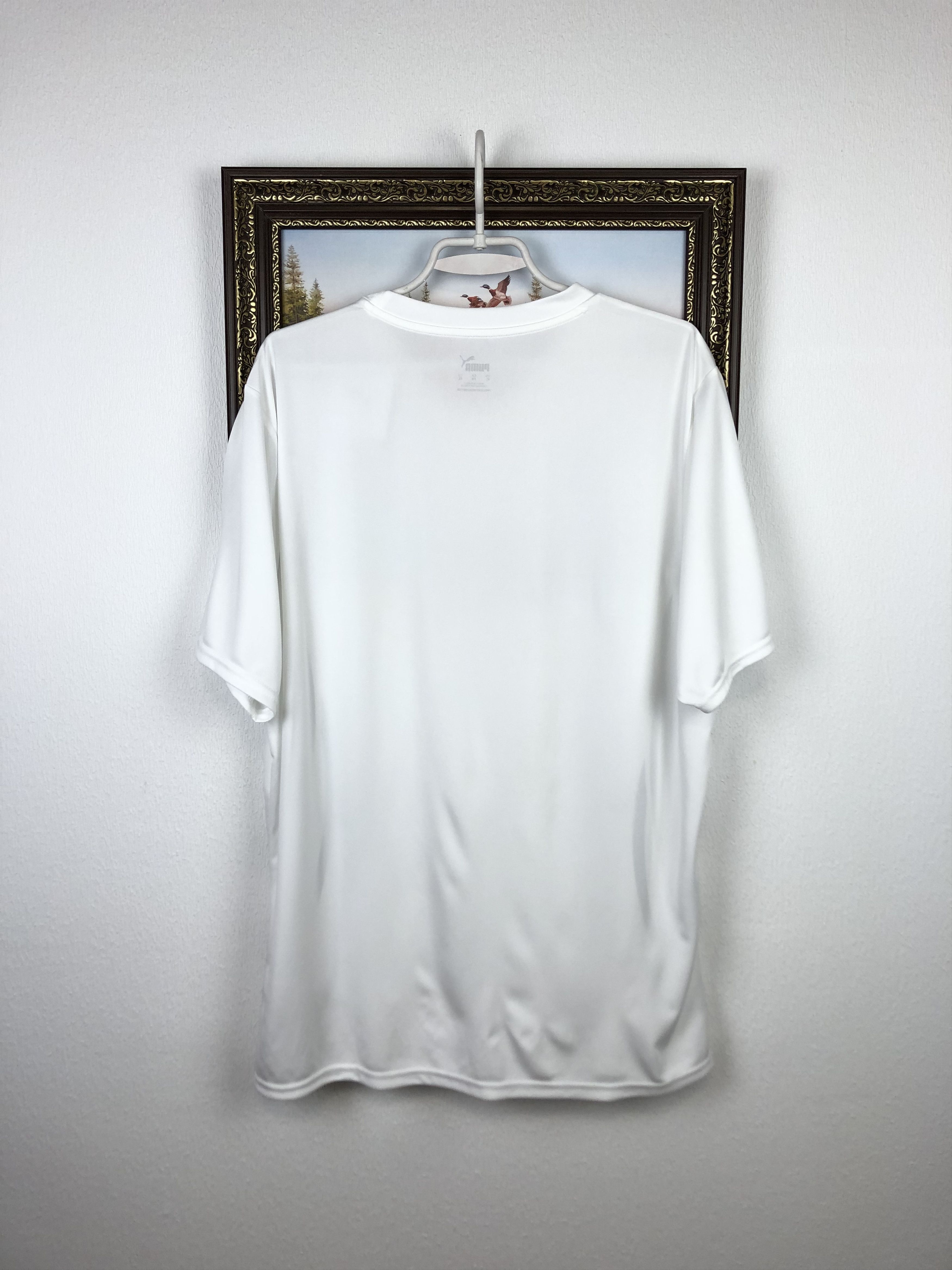 Puma Deutschland DFB Puma Germany White Sport Shirt Jersey Mens Size US XL / EU 56 / 4 - 9 Thumbnail