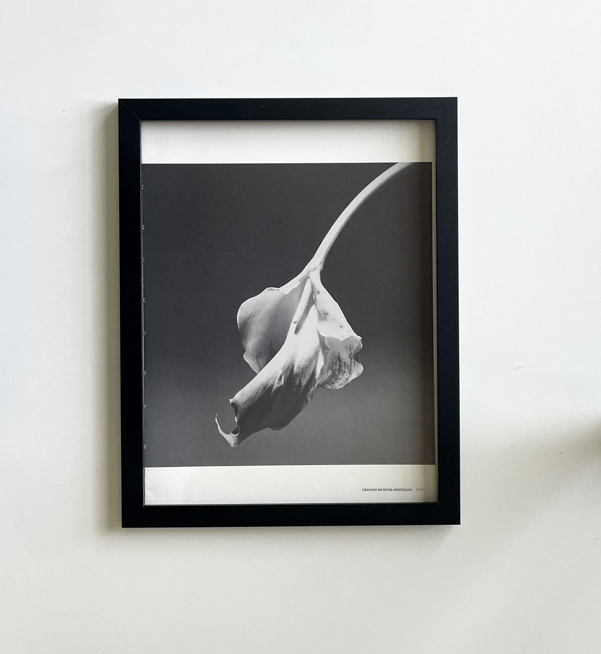 Chrome Hearts × Vintage Chrome Hearts flower photo Poster framed 9x11 Size ONE SIZE - 1 Thumbnail