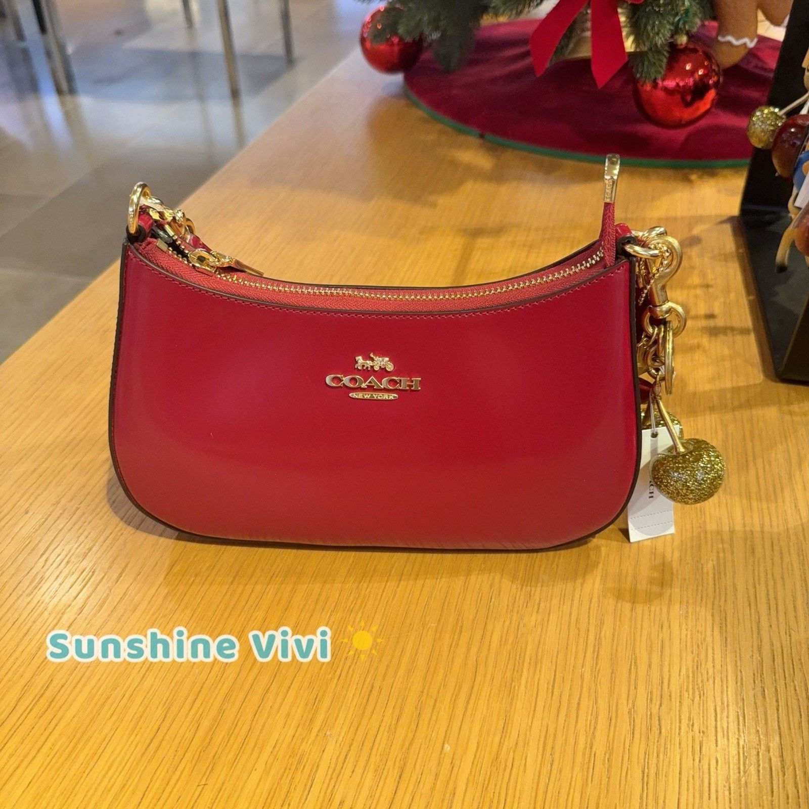 Coach NWT Bundle Coach CV938 Teri Red & Cherry Bag Charm 77840 Size ONE SIZE - 10 Thumbnail