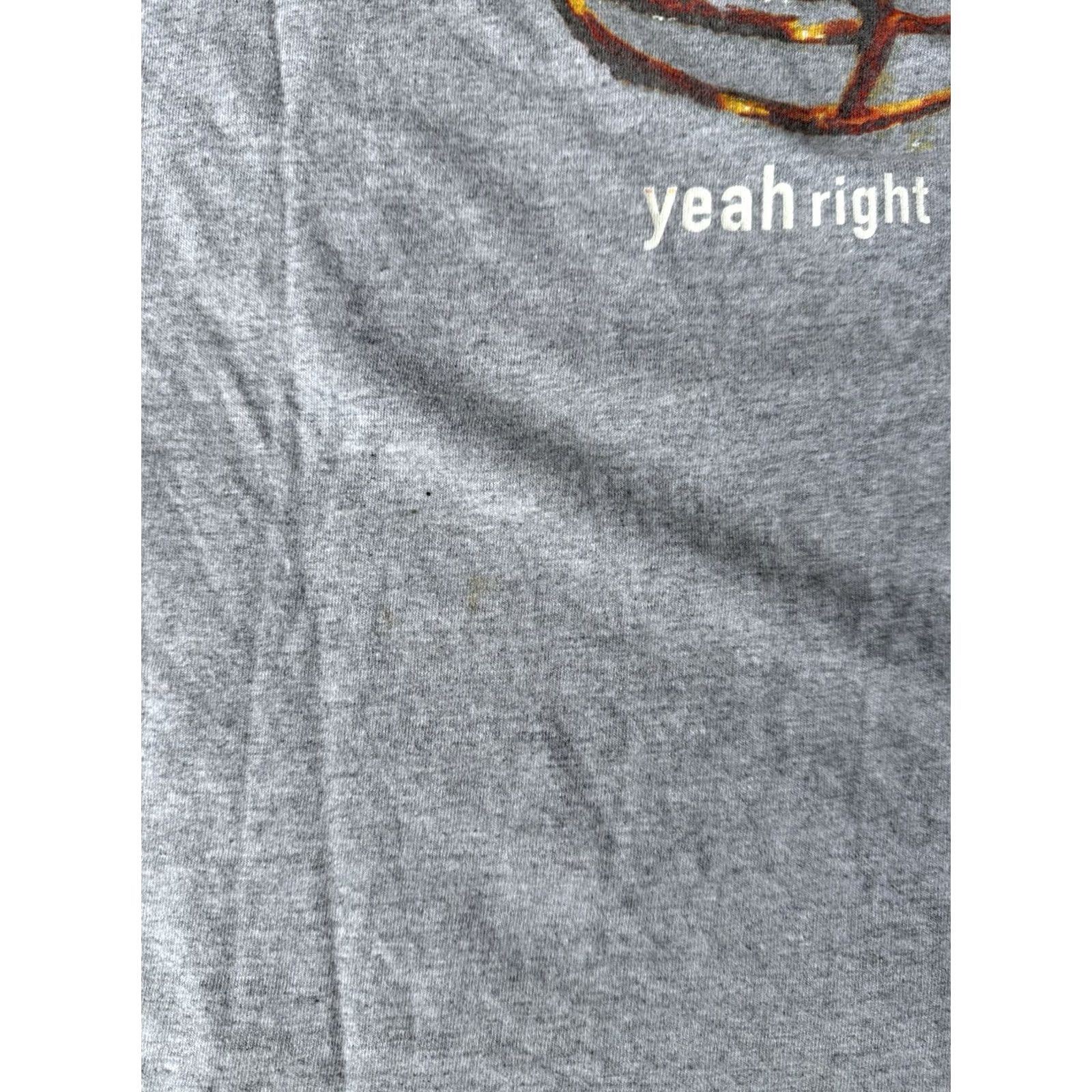 Nike VINTAGE Nike Football Helmet Inherit The Earth T-Shirt Large Men Shirt 90s Sports Graphic Print Gray Cotton Crew Neck Short Sleeve Logo Size US L / EU 52-54 / 3 - 5 Thumbnail