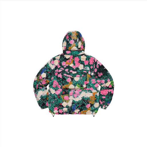 Supreme Supreme × The North Face vest Size US S / EU 44-46 / 1 - 8 Thumbnail