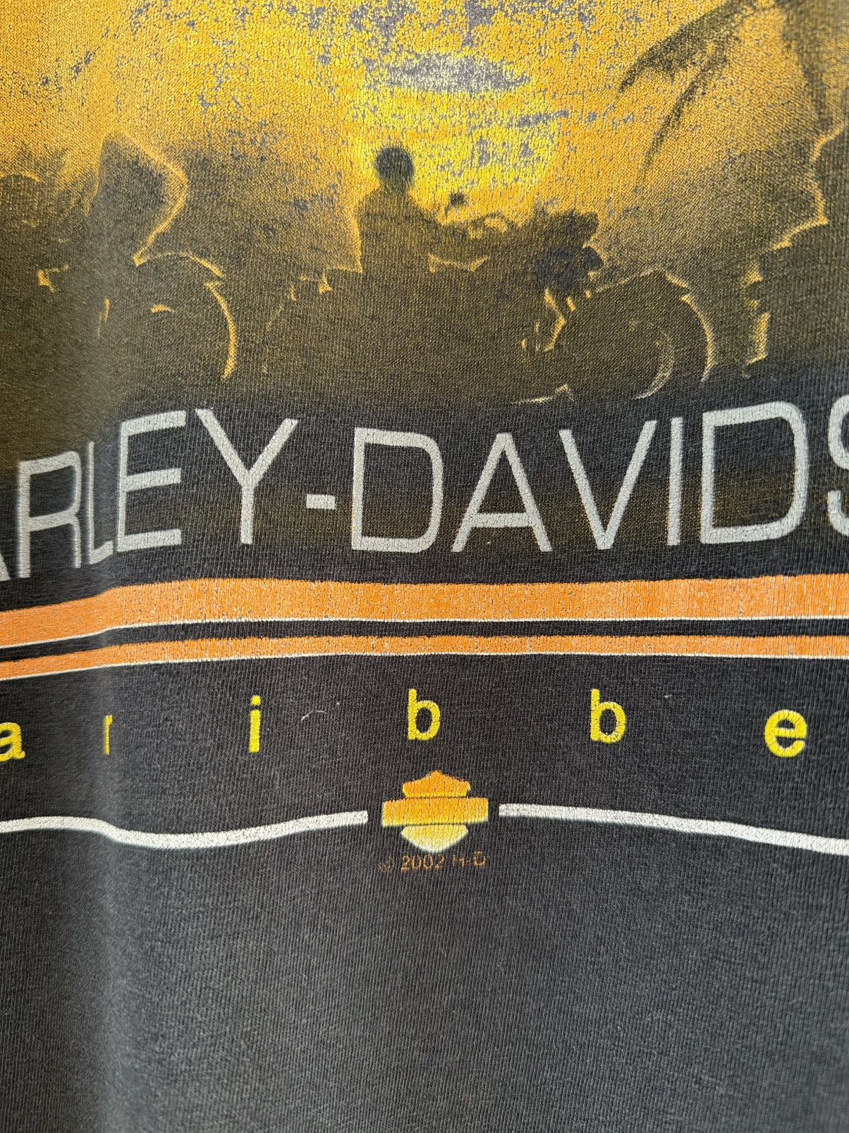 Harley Davidson Thrashed Vintage Harley Davidson Caribbean Faded Grunge Tee Size US L / EU 52-54 / 3 - 4 Thumbnail