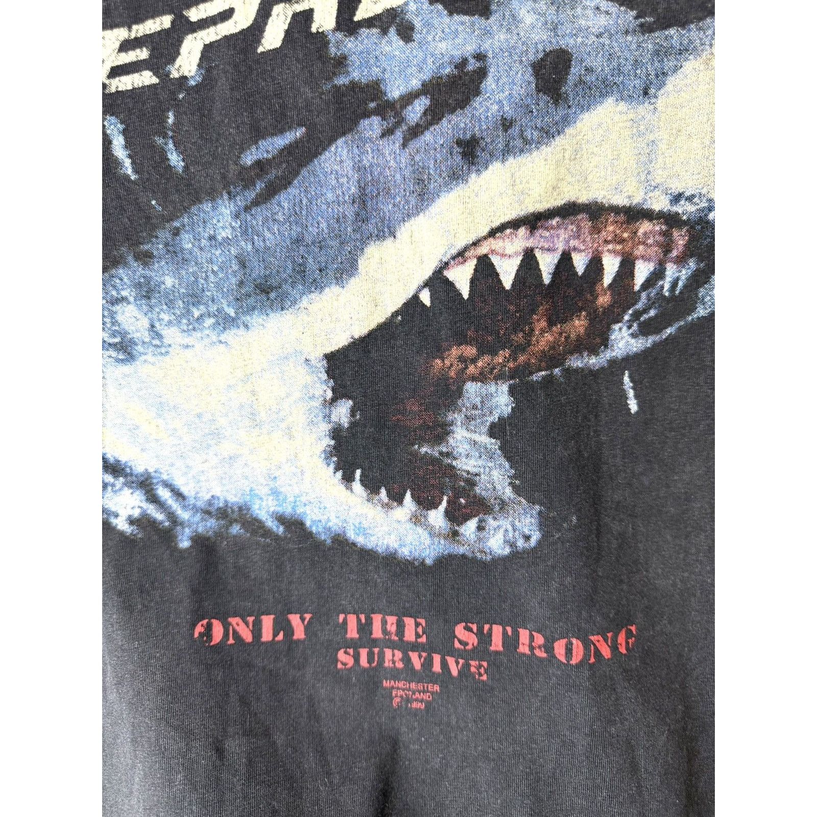 Represent Clo. Represent Co Shark Print T Shirt Streetwear Size US S / EU 44-46 / 1 - 3 Thumbnail