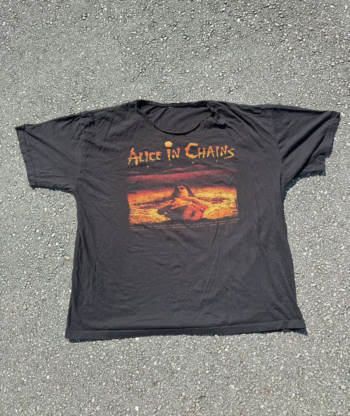 Band Tees 90s retro Alice In Chains Dirt Album Promo 00s vintage rare Size US L / EU 52-54 / 3 - 1 Thumbnail