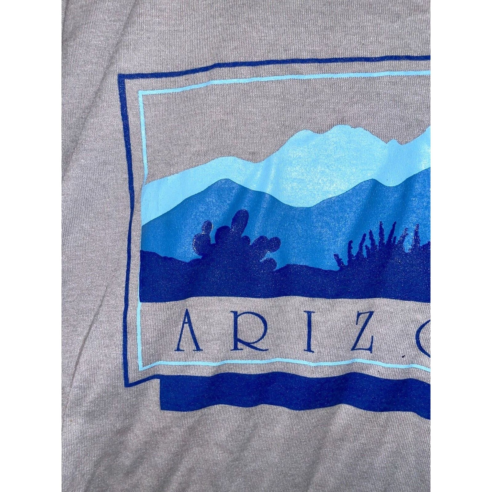Jerzees 1980s Vintage Arizona Shirt Gray Blue Cactus Tee 80s 1987 M Size US M / EU 48-50 / 2 - 2 Thumbnail