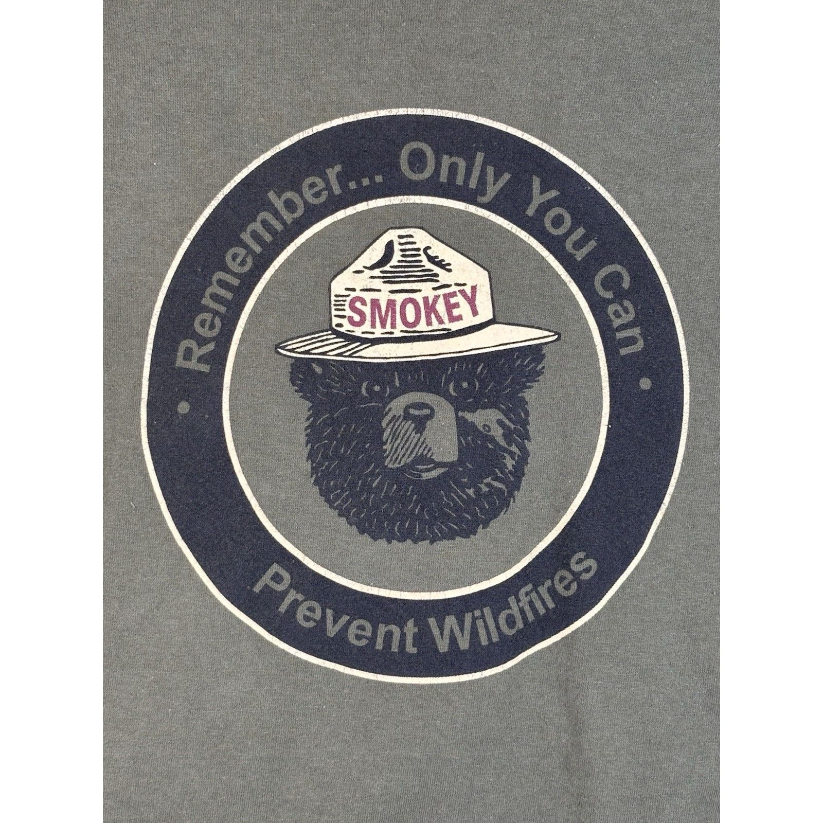 The Unbranded Brand Smokey The Bear Prevent Forest Wildfire Cropped T-Shirt LG Size US L / EU 52-54 / 3 - 6 Thumbnail