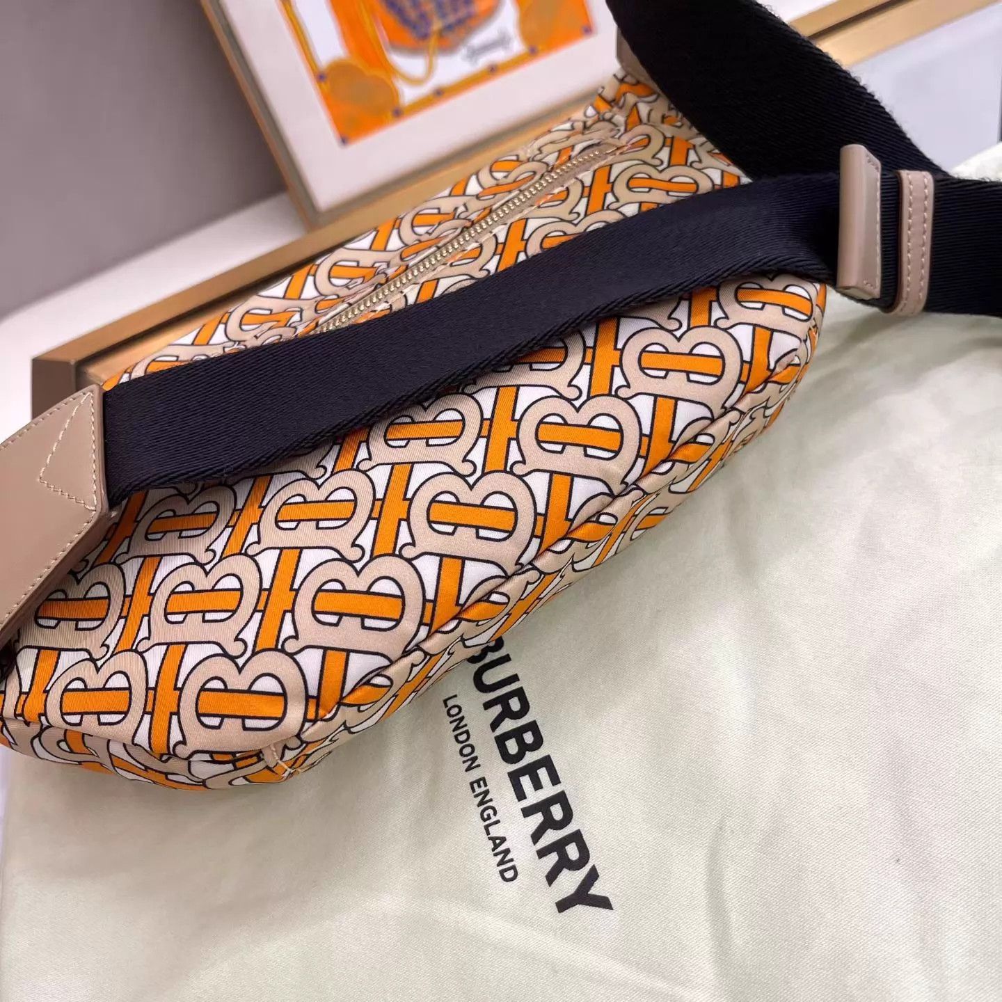 Burberry Burberry Orange Waist Bag NM Dust Bag 29x16 AH238 Size ONE SIZE - 7 Thumbnail