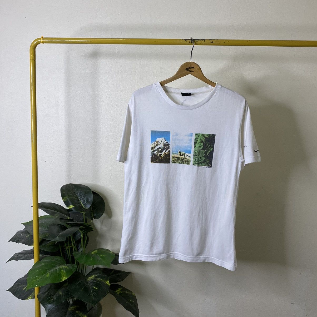 Canterbury of New Zealand Vintage Y2K Canterbury Graphic Tee Size US M / EU 48-50 / 2 - 1 Thumbnail