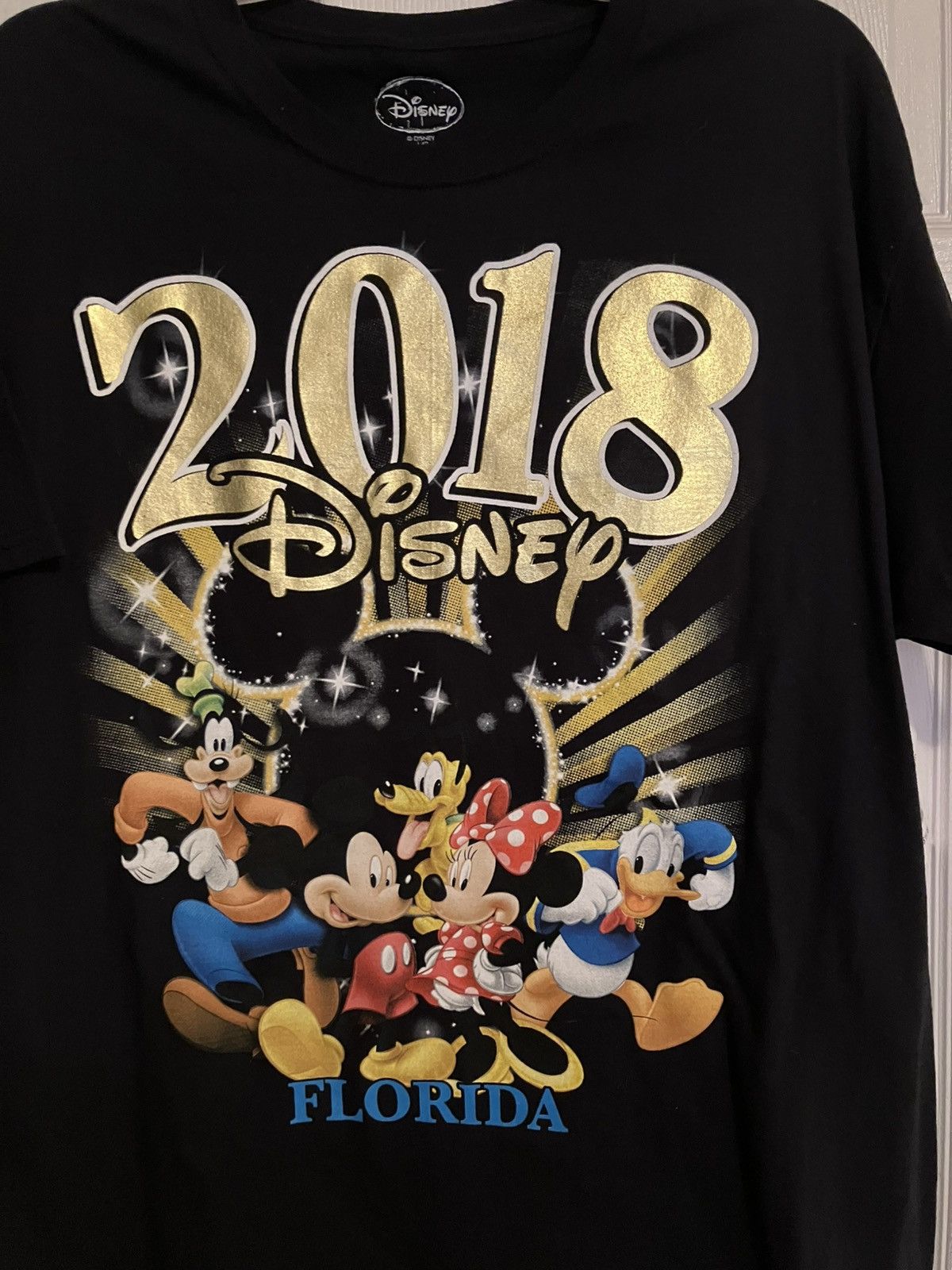 Disney Walt Disney World 2018 Short Sleeve T Shirt Size L Florida Size US L / EU 52-54 / 3 - 2 Thumbnail
