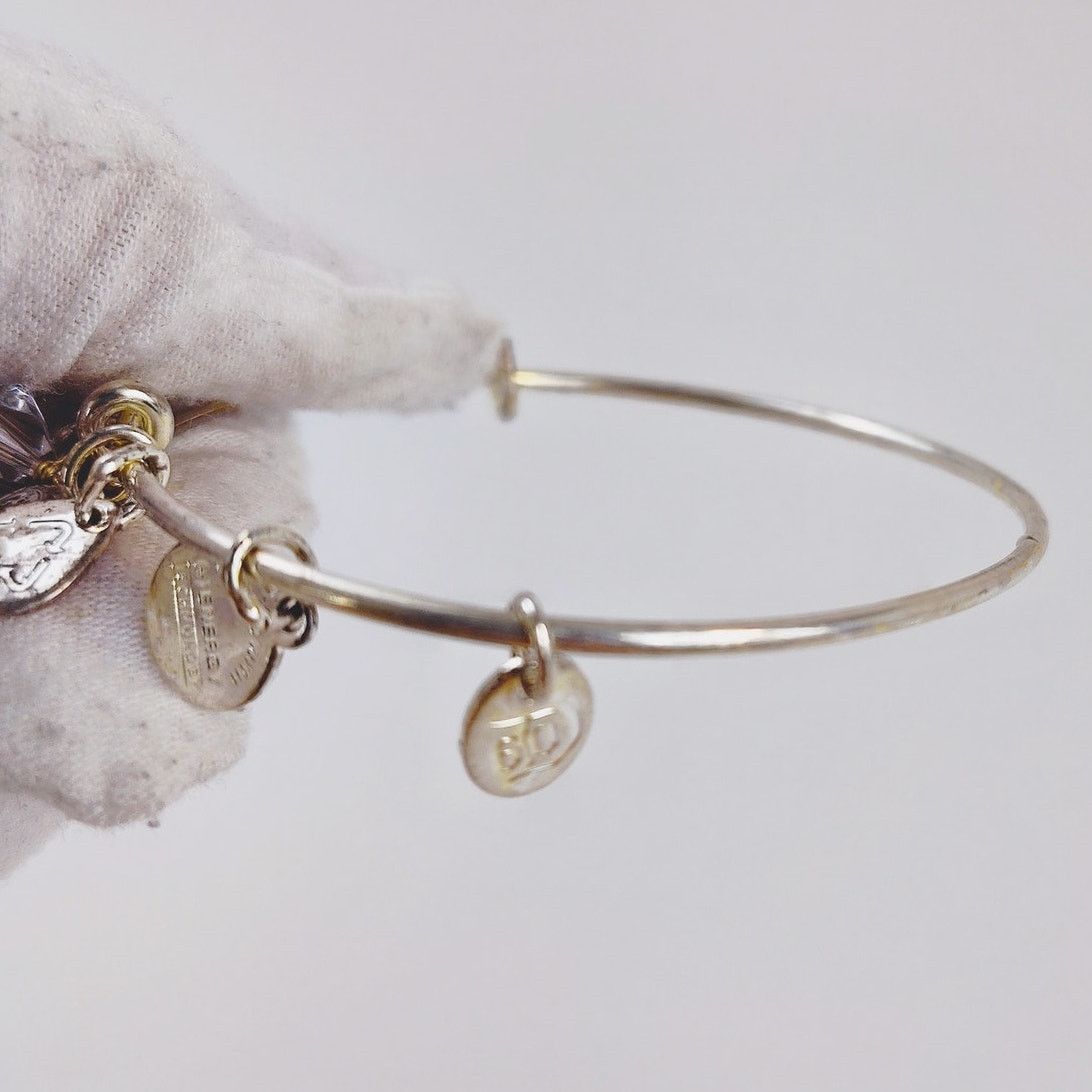 Disney Alex and Ani Disneyland Forever Charm Bangle - Silver Toned Size ONE SIZE - 6 Thumbnail