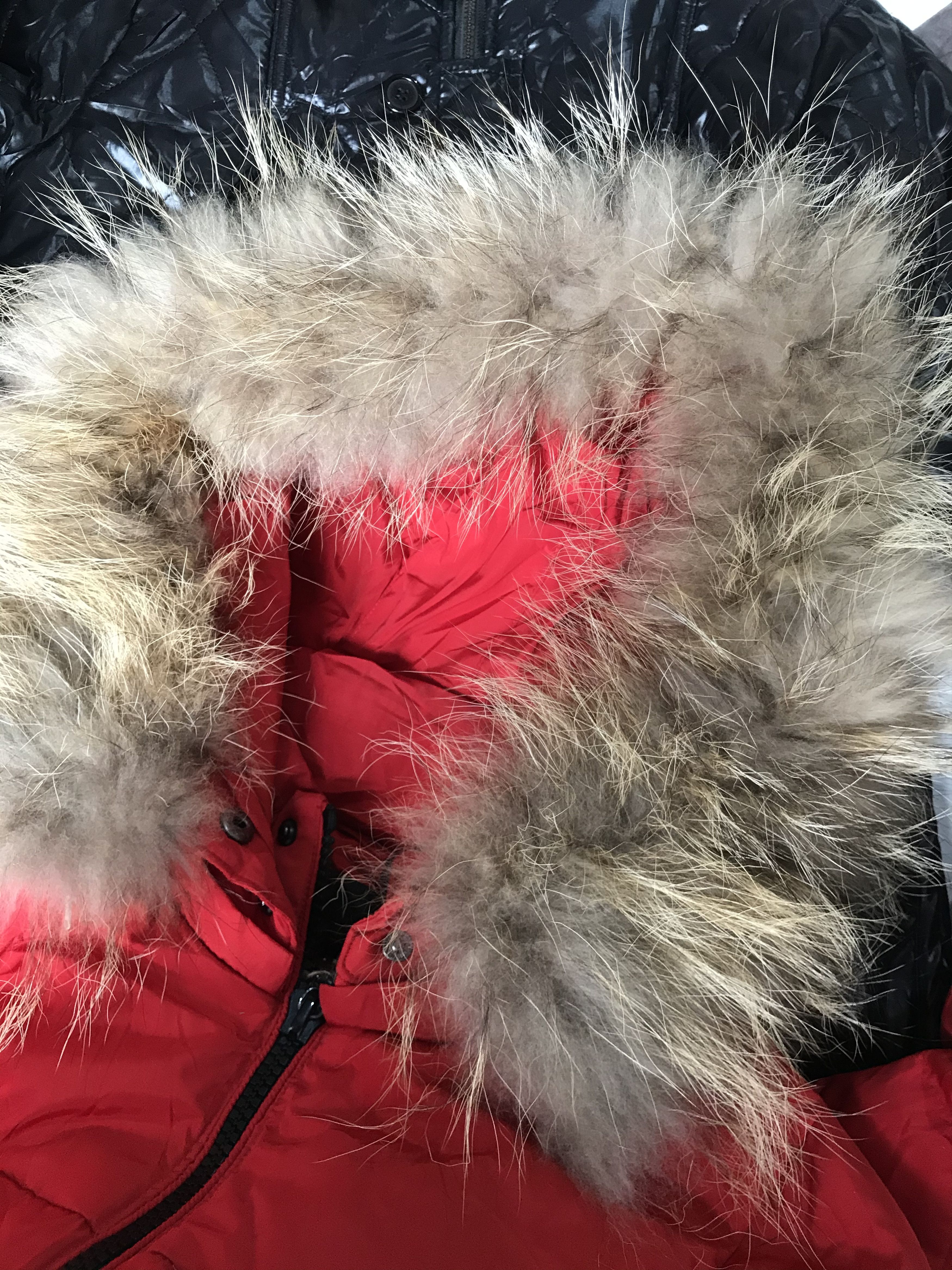 If Six Was Nine × Japanese Brand × Le Grande Bleu (L.G.B.) Meri Merimo fur puffer Jacket Size US M / EU 48-50 / 2 - 7 Thumbnail