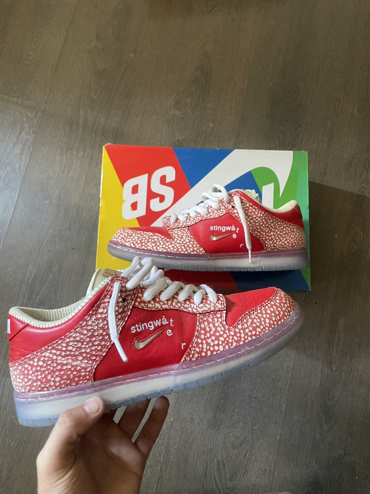 Nike SB Dunk Low x Stingwater Magic Mushroom