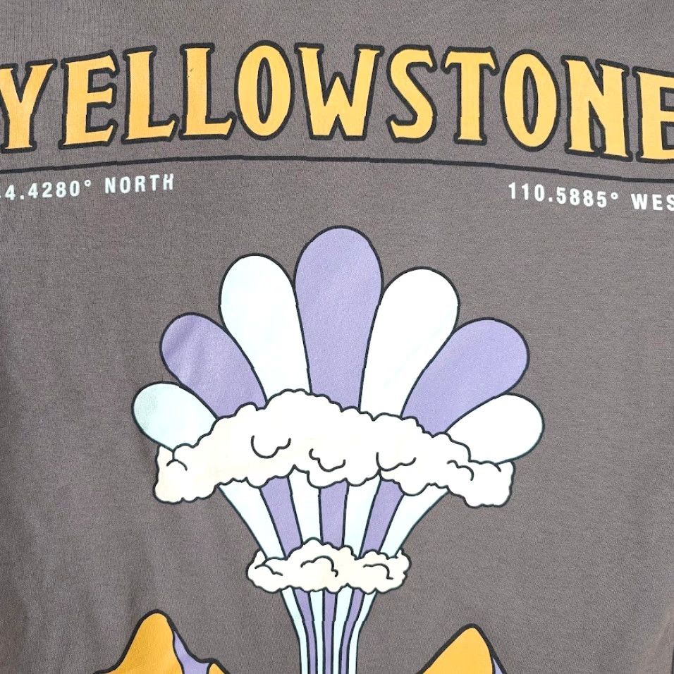 Vintage Yellowstone National Park Mens T Shirt Small Gray Old Faithful Geyser Size US S / EU 44-46 / 1 - 5 Thumbnail