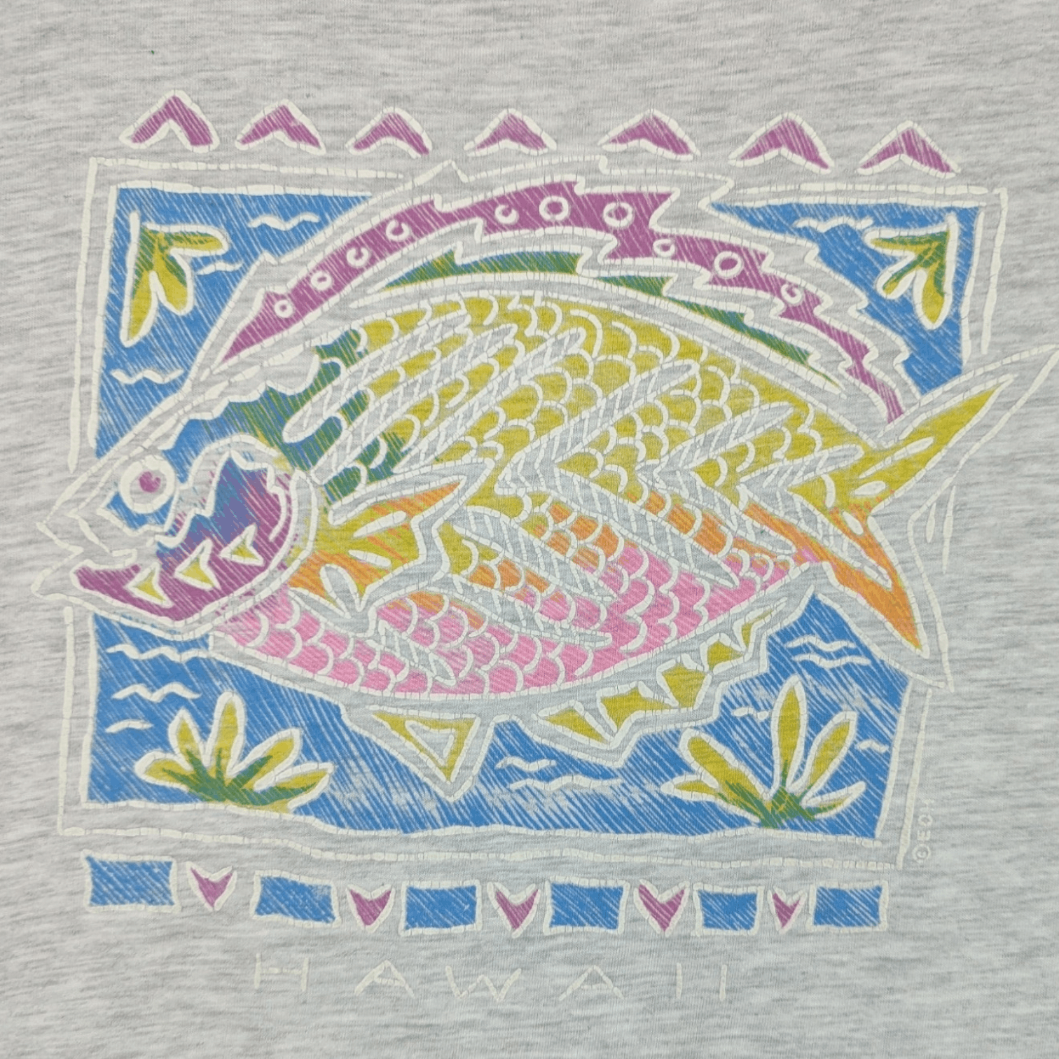 Vintage 2000's HAWAII Colourful Fish Graphic T-Shirt