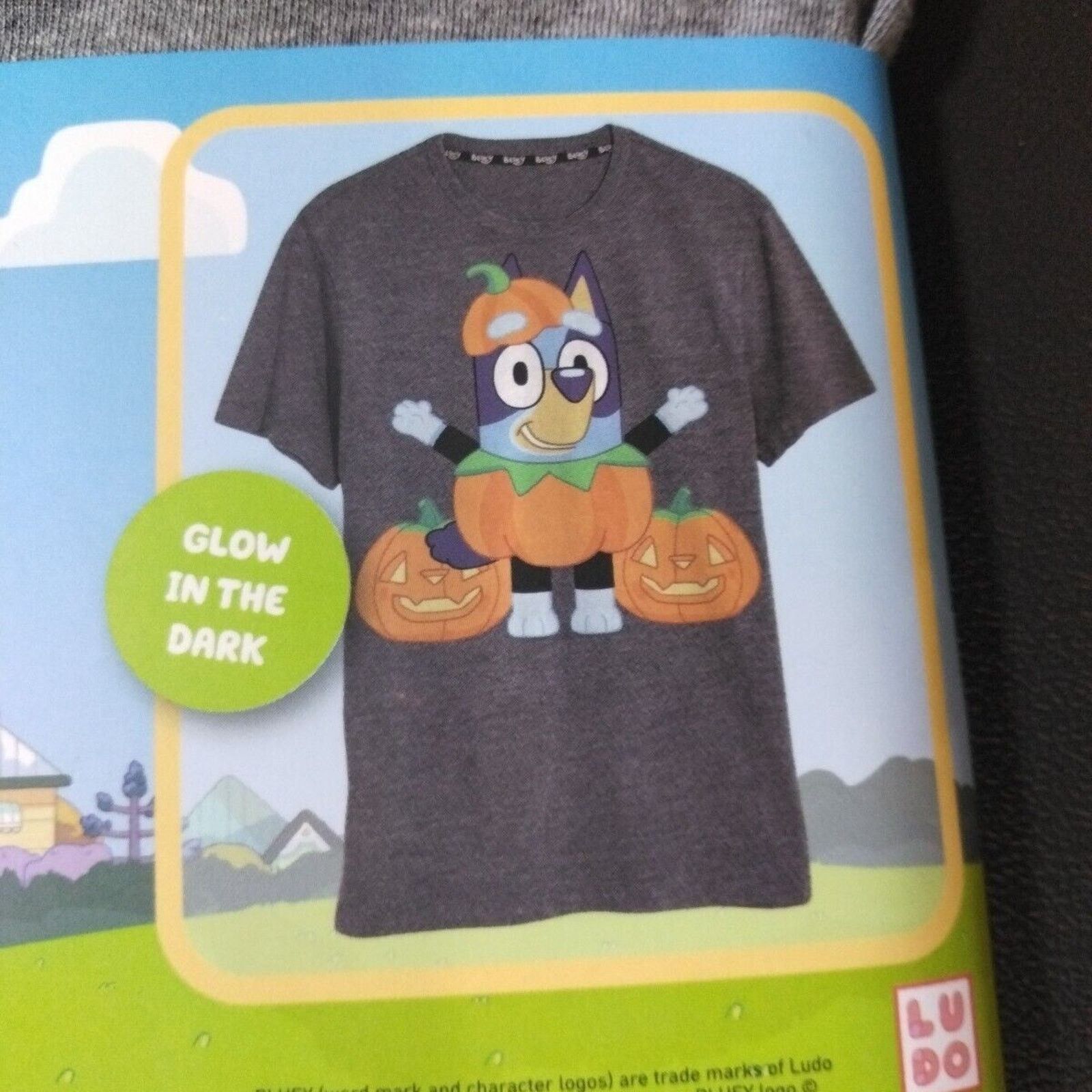 Other Bluey Adult Glow In The Dark Short Sleeve Halloween size L Size US L / EU 52-54 / 3 - 5 Thumbnail