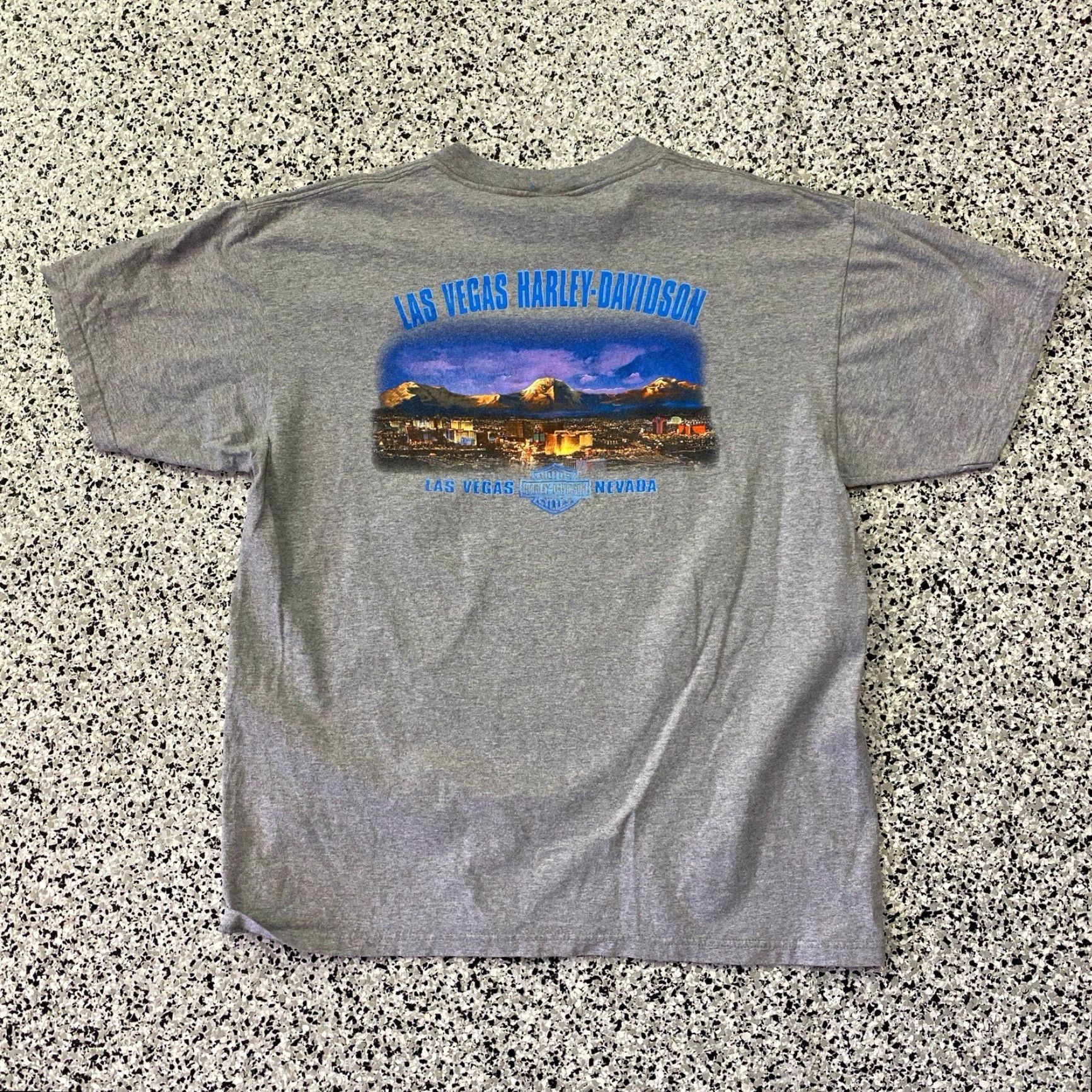 Harley Davidson VINTAGE Harley-Davidson T Shirt Adult XL Grey Motorcycle Graphic Print Short Sleeve Crew Neck Men Mens Shirt 2000s Decade Y2K Size US XL / EU 56 / 4 - 4 Thumbnail