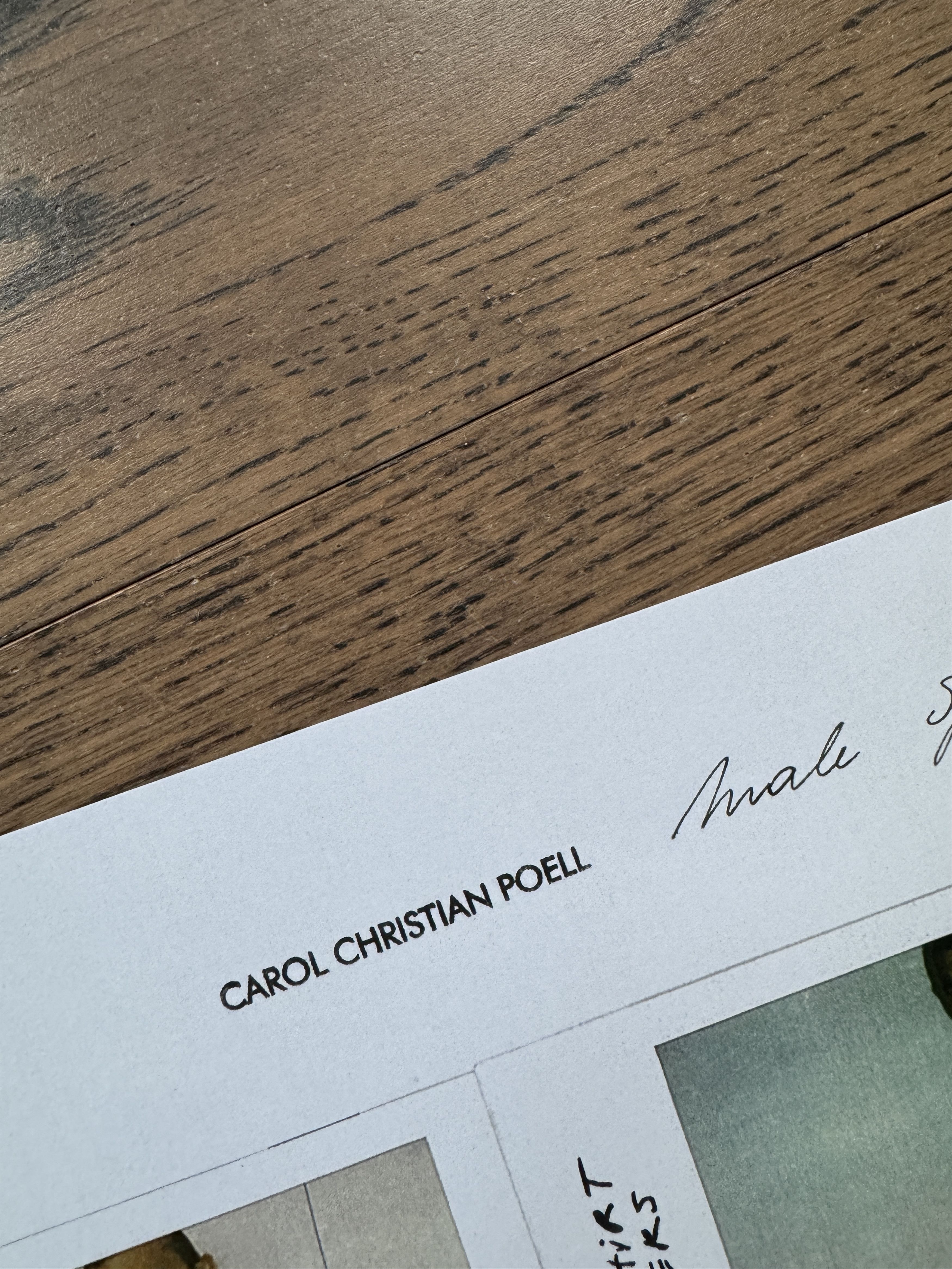 Carol Christian Poell Carol Christian Poell Male SP 2003 Polaroids Catalog Poster Size ONE SIZE - 11 Thumbnail