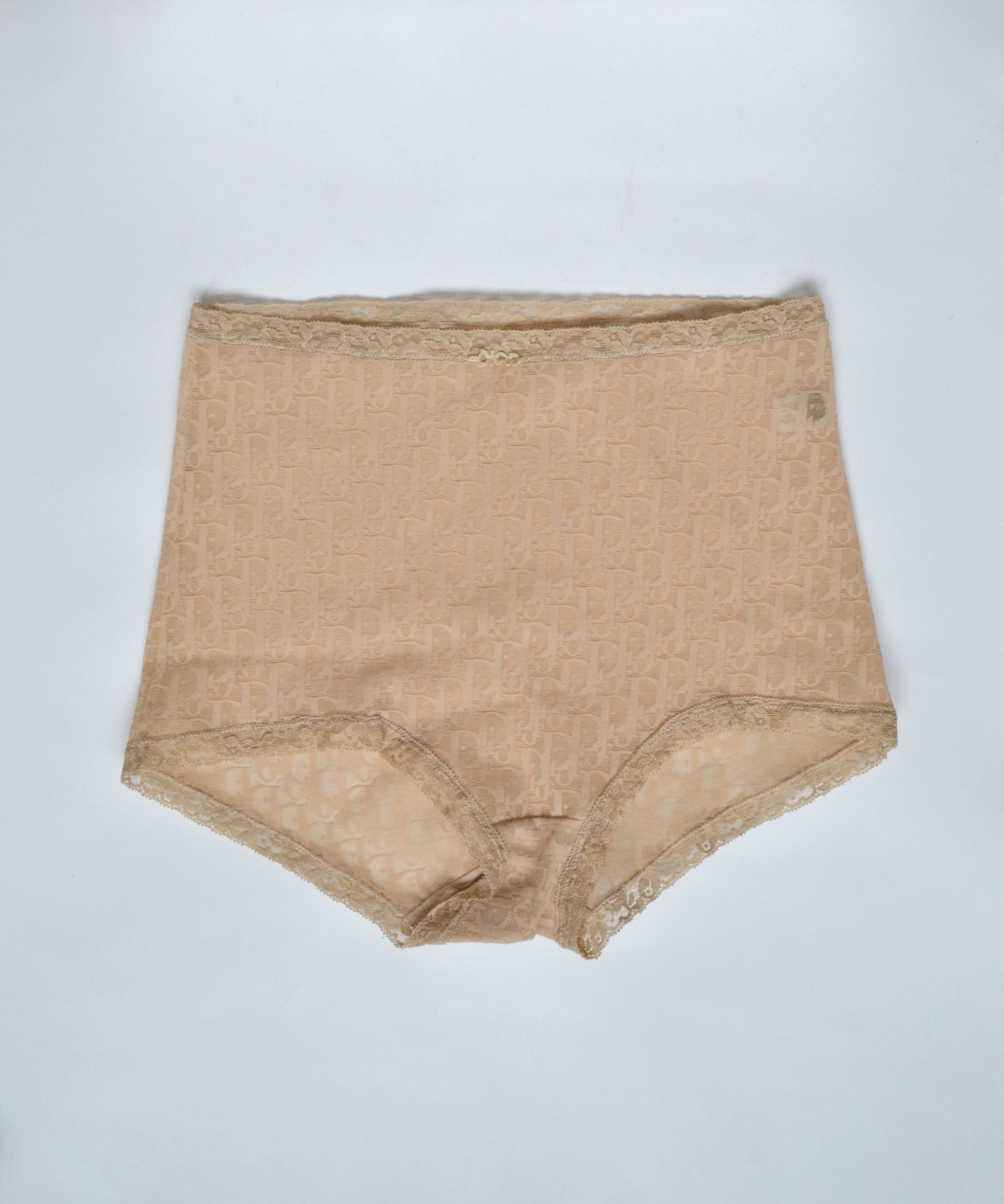 Christian Dior Monsieur x Dior Underwear Cd Bikini Sheer Mesh High Waist Panties in Beige, Women's