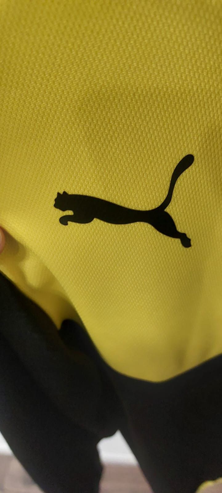 Puma Dortmund Trainign Kit Puma 2015/16 (XXL. Kids) Size US XXL / EU 58 / 5 - 4 Thumbnail
