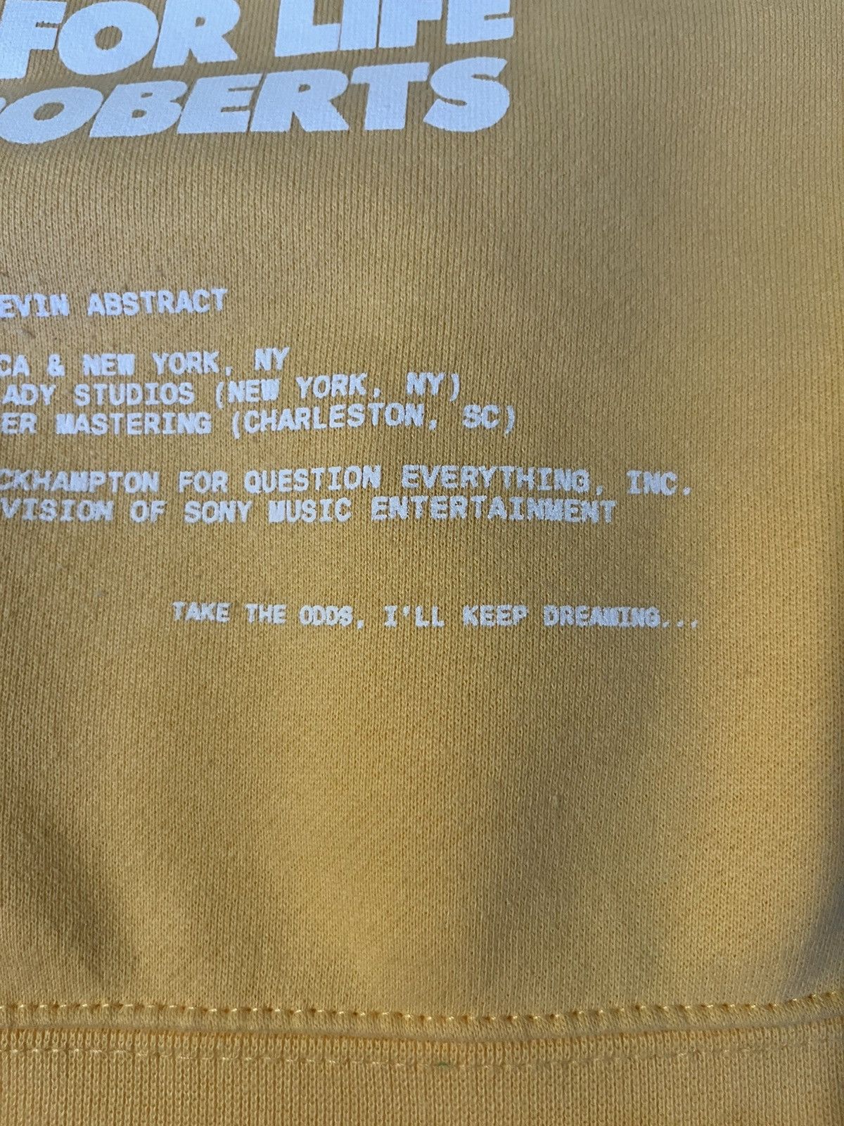 Brockhampton BROCKHAMPTON GINGER TOUR MERCH HOODIE Size US M / EU 48-50 / 2 - 11 Thumbnail