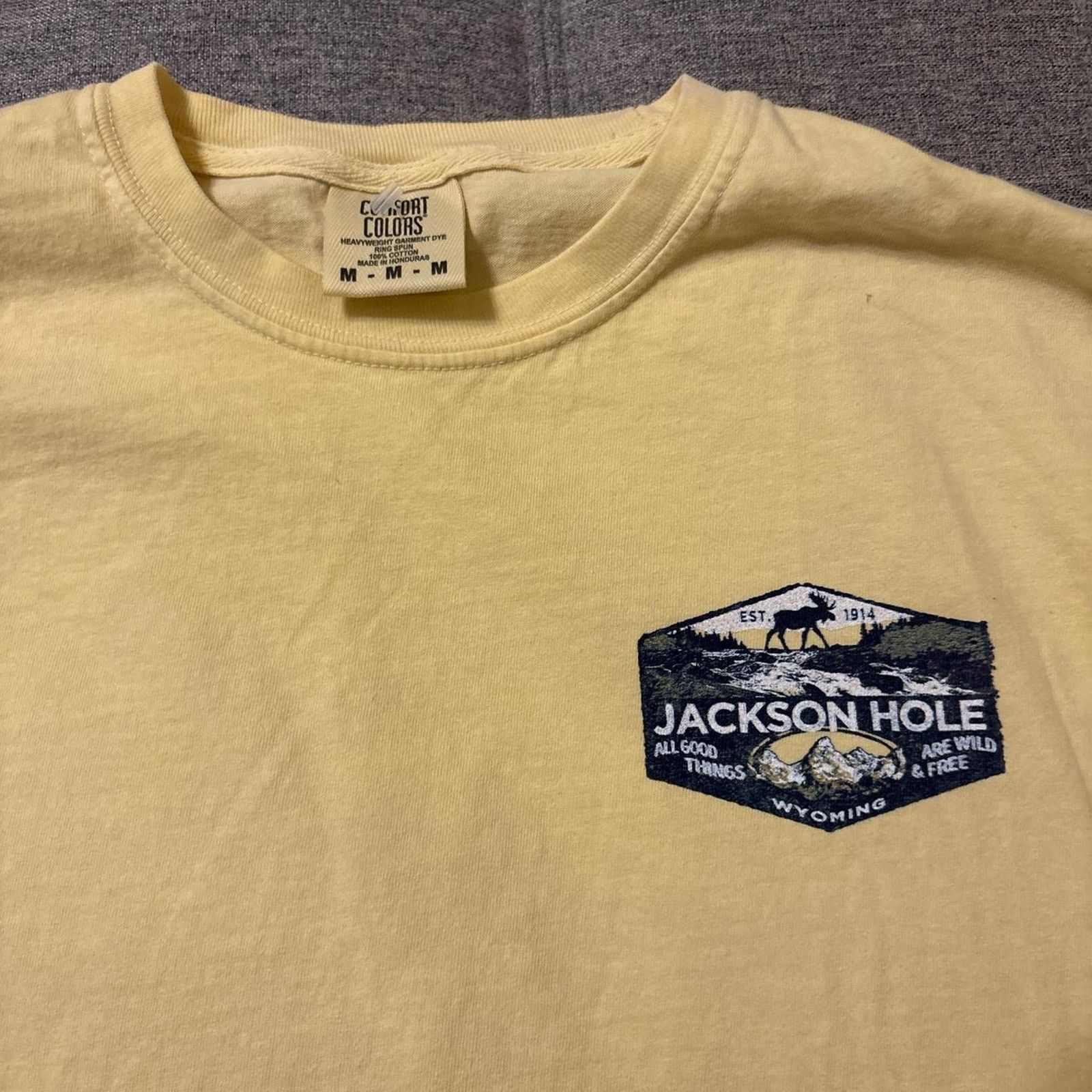 Comfort Colors Comfort colors jackson hole longsleeve Size US M / EU 48-50 / 2 - 2 Thumbnail
