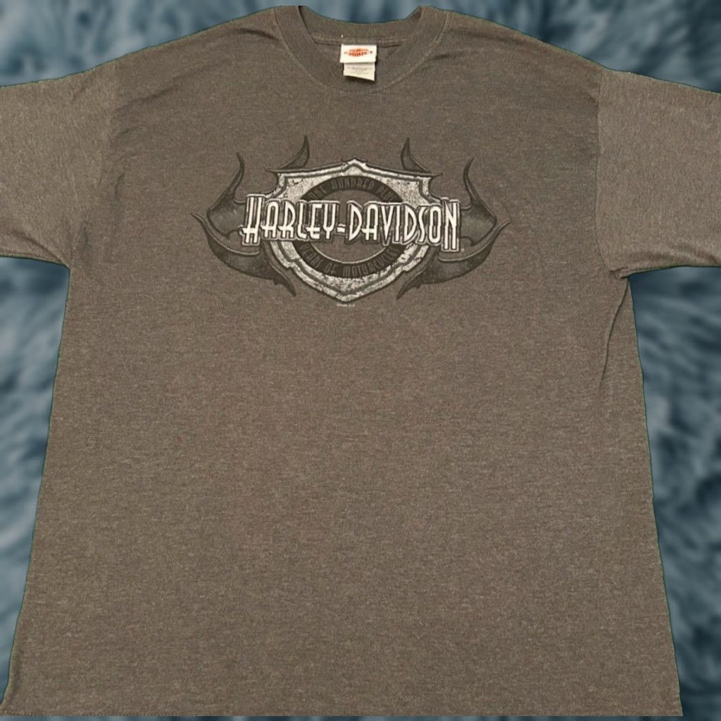 Harley Davidson VINTAGE Harley-Davidson T-Shirt Mens XL Gray 2006 Y2K Biker Grunge 90s Logo Fairbanks Alaska Size US XL / EU 56 / 4 - 1 Thumbnail