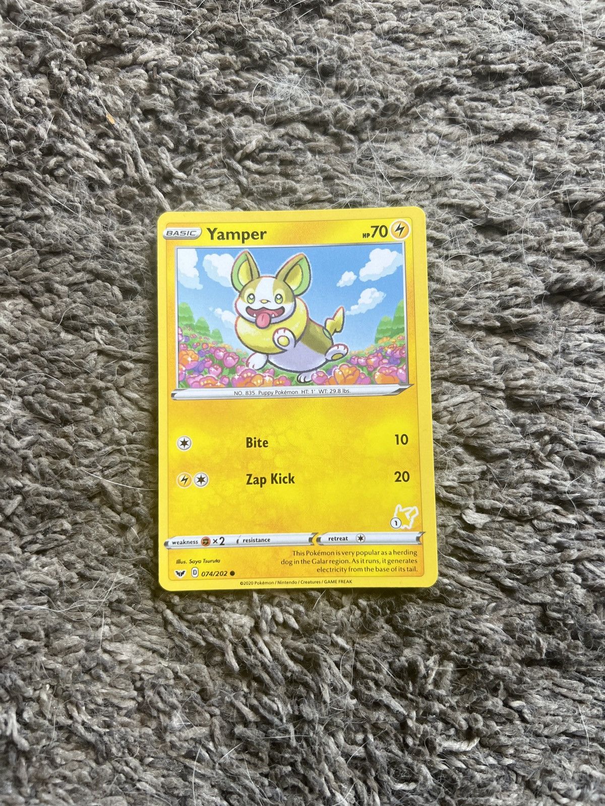 Pokemon 2020 Pokémon Yamper Basic Card Size ONE SIZE - 1 Thumbnail