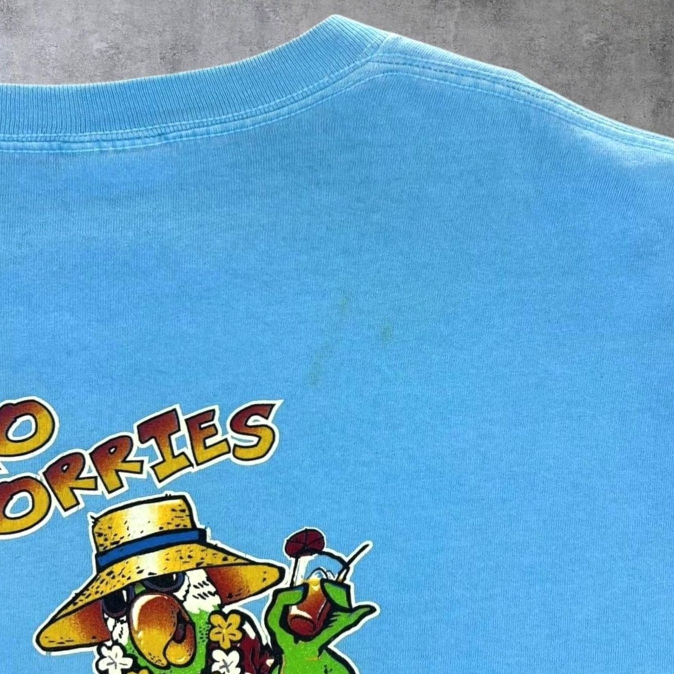 Vintage VINTAGE Antigua "No Worries" Parrot Cartoon Tourist Graphic T-Shirt Large Mens Blue Size US L / EU 52-54 / 3 - 8 Thumbnail
