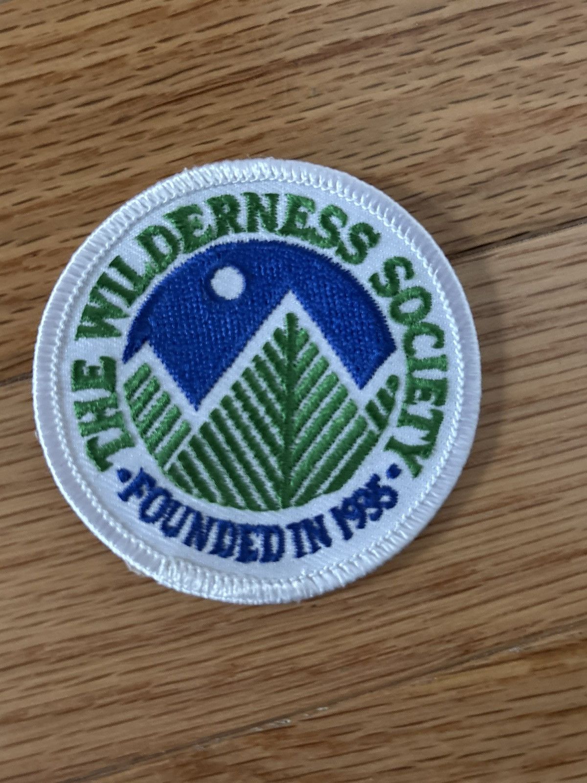 Vintage 1995 THE WILDERNESS SOCIETY Vintage Sew On Patch USA Size ONE SIZE - 1 Thumbnail