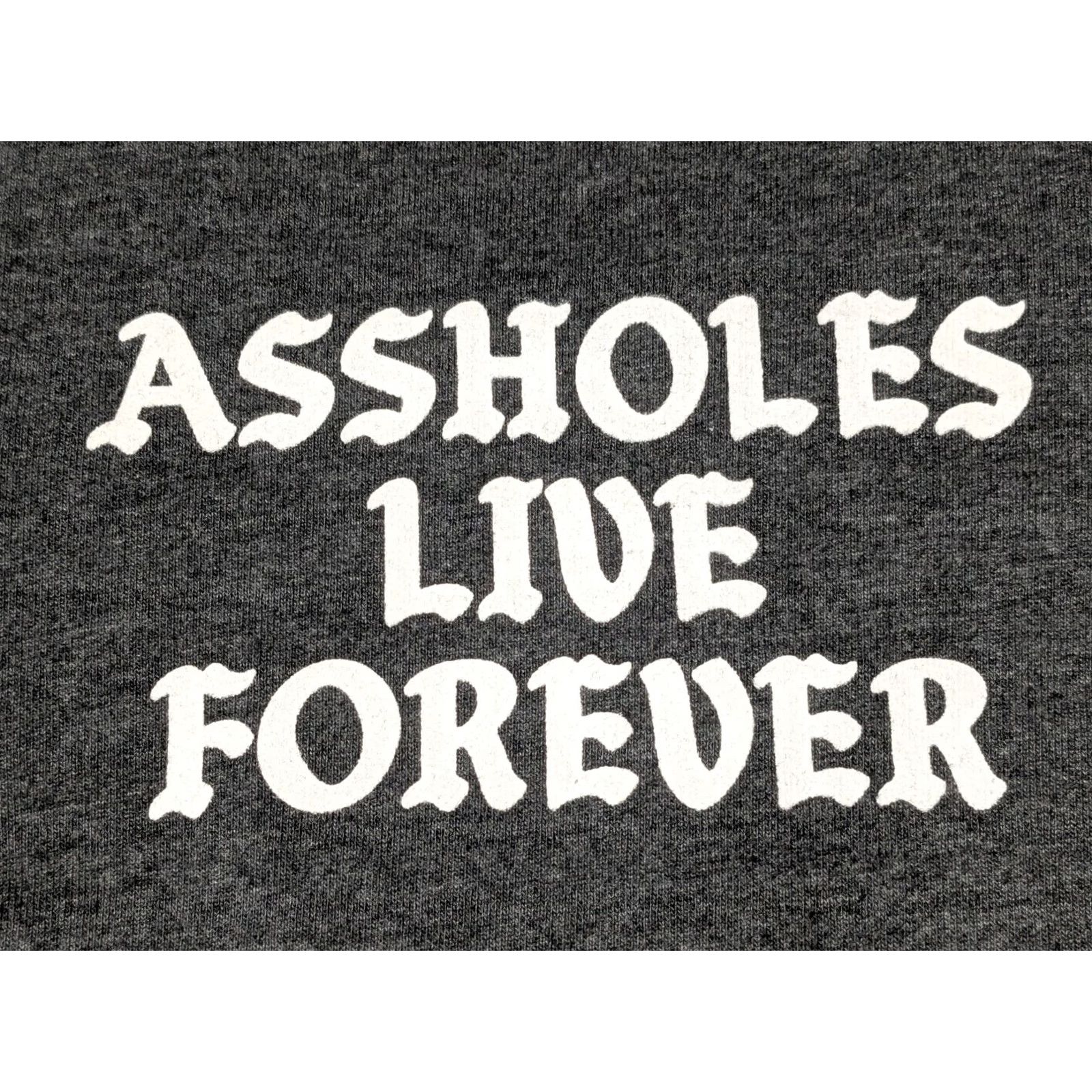 Olive A44880HOLES LIVE FOREVER Men Medium Gray Double-sided 1/4 Zip Pullover Sweatshirt Size US M / EU 48-50 / 2 - 4 Thumbnail