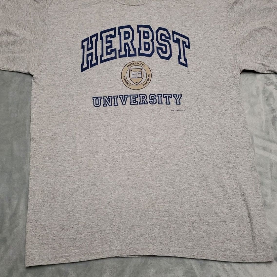 Gildan VINTAGE Herbst University Shirt Mens Large Gray Fictional College Skate Y2K TEE Size US L / EU 52-54 / 3 - 2 Thumbnail