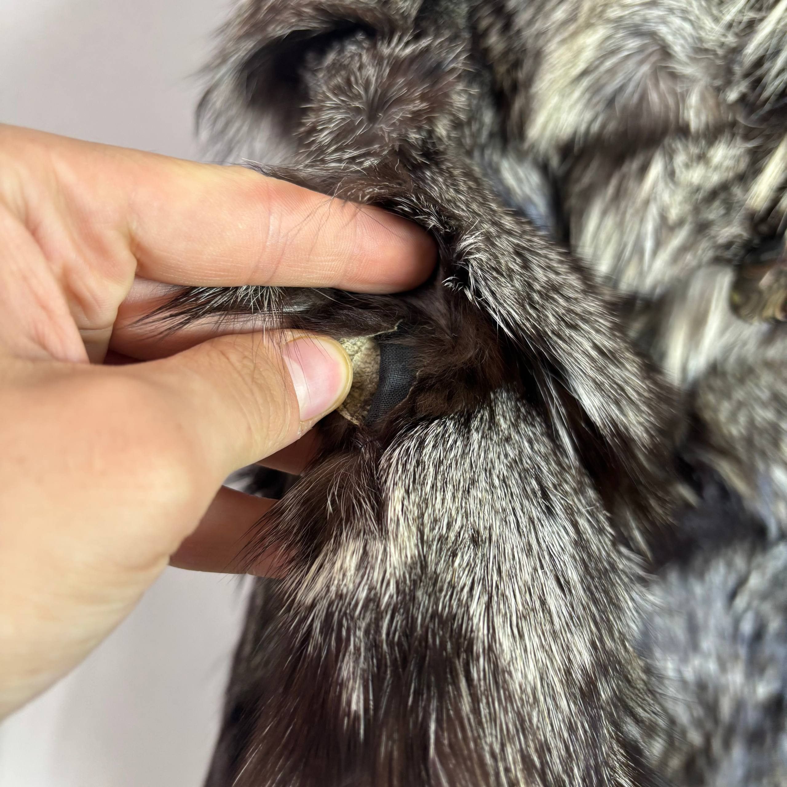 Other REAL BLACK SILVER FOX FUR COAT JACKET VINTAGE Size US M / EU 48-50 / 2 - 7 Thumbnail