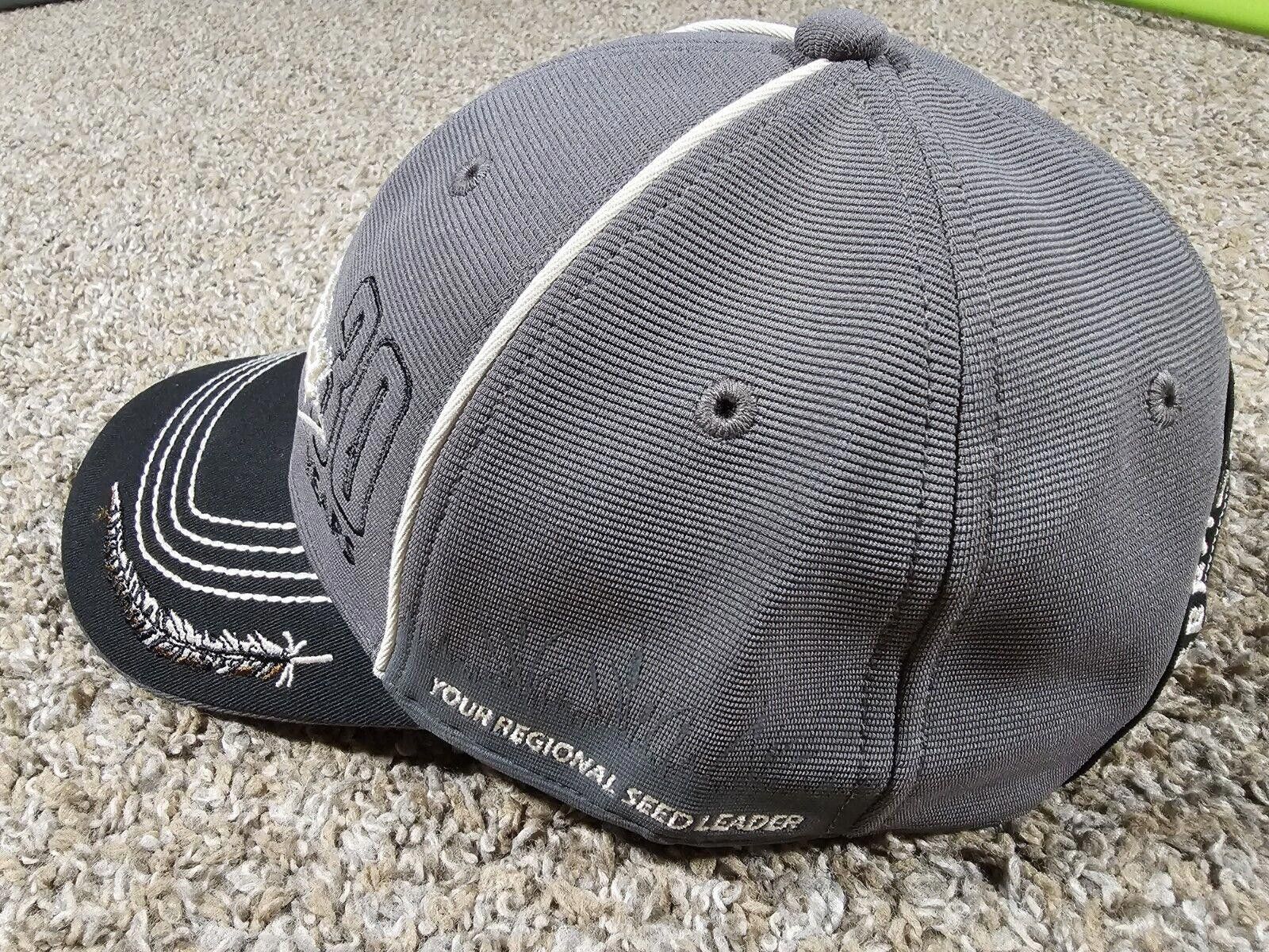 Designer LEGEND Seeds 30 years strapback hat 2020 Gray Black Pheasant Size ONE SIZE - 5 Thumbnail