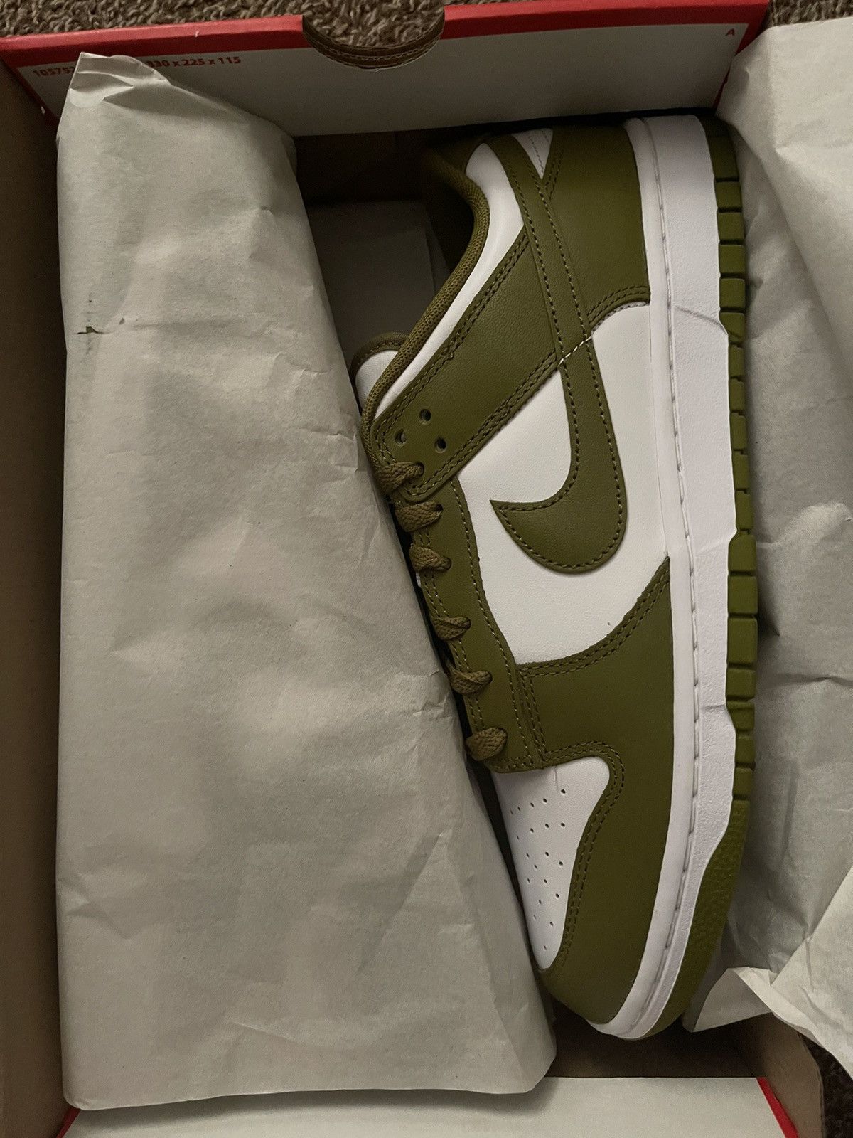 Nike *New* Nike Dunk Low Retro Pacific Moss Size US 12 / EU 45 - 9 Thumbnail