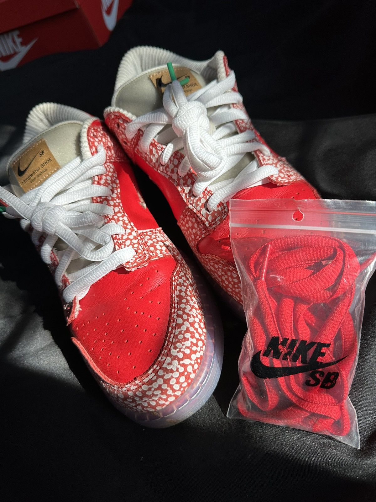 Nike × Stingwater LOW SB DUNK “STINGWATER” Size US 9.5 / EU 42-43 - 7 Thumbnail
