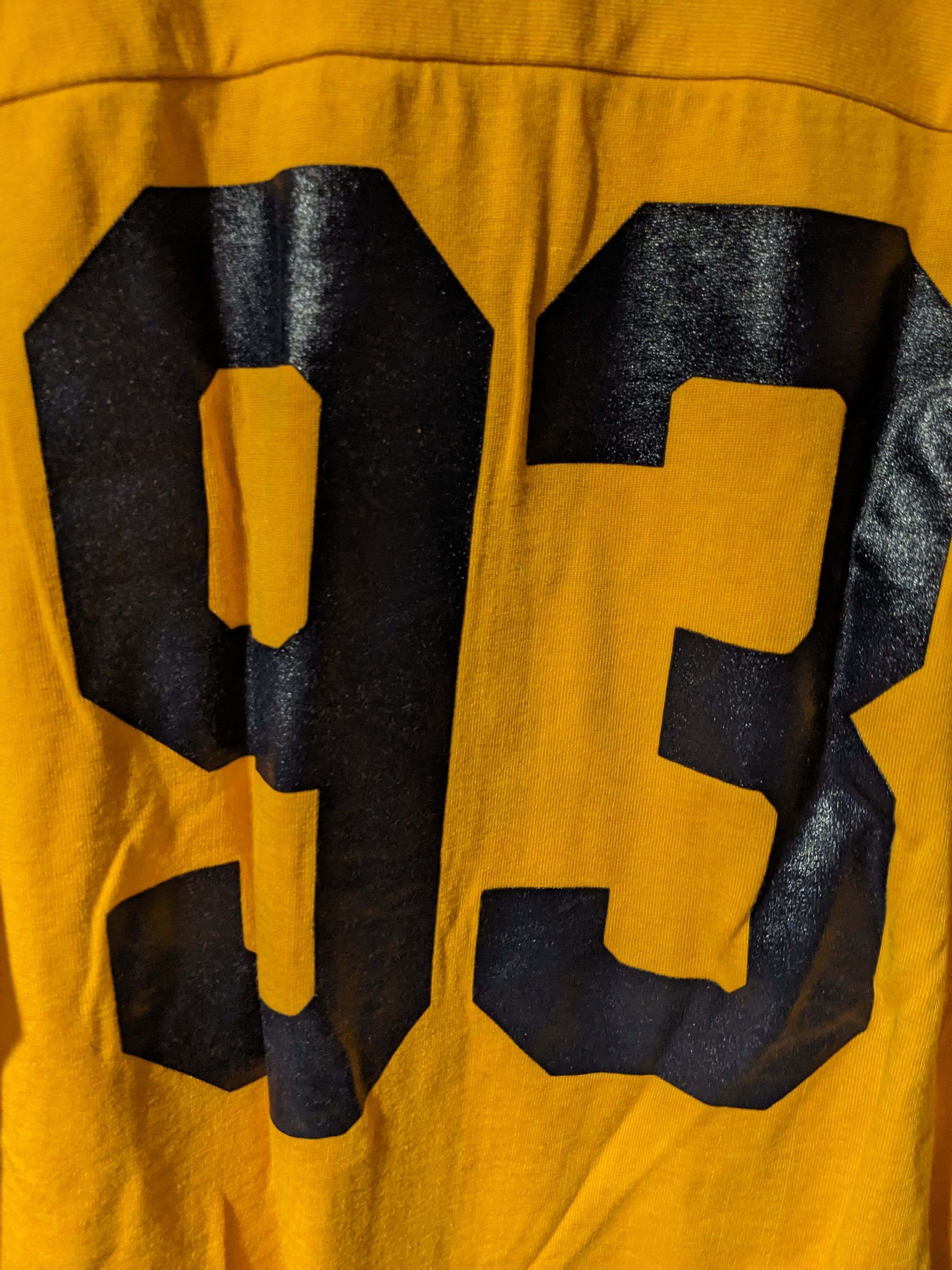 Champion × Vintage Vintage 1979 Seaford High School Champion Long-Sleeve Size US XL / EU 56 / 4 - 12 Thumbnail