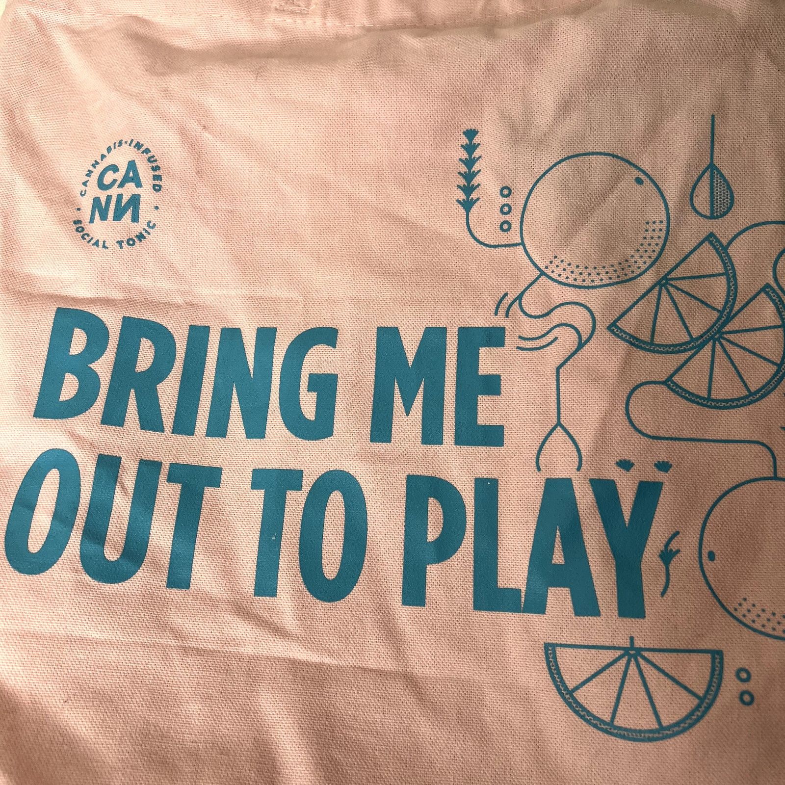 Other Cann Bring Me Out to Play Pink Tote Bag Size ONE SIZE - 2 Thumbnail
