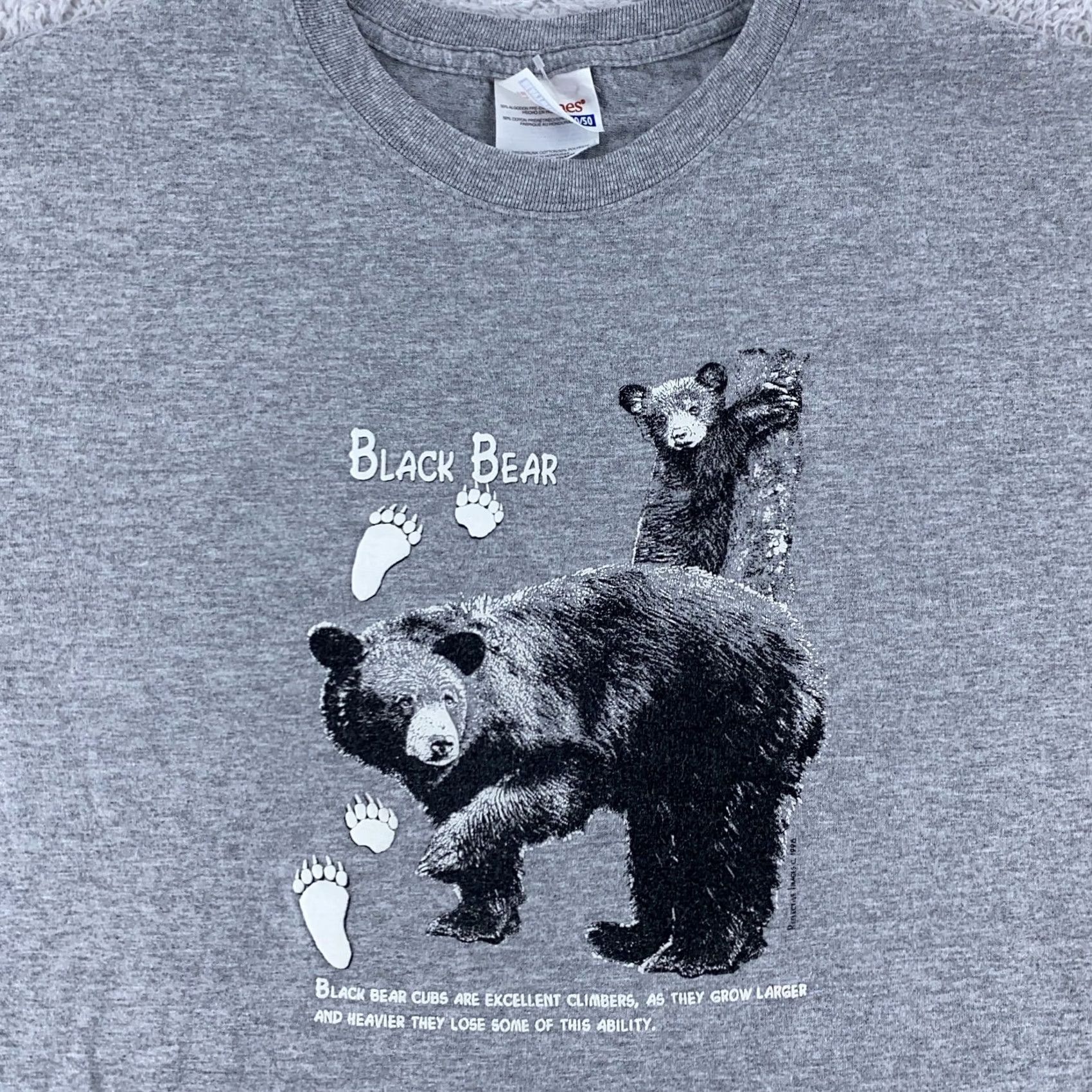 Hanes VINTAGE Black Bear Shirt Mens M Gray Cotton Blend 90s Nature Wildlife Graphic Yogi Bear Crew Neck Short Sleeve Hanes Size US M / EU 48-50 / 2 - 2 Thumbnail