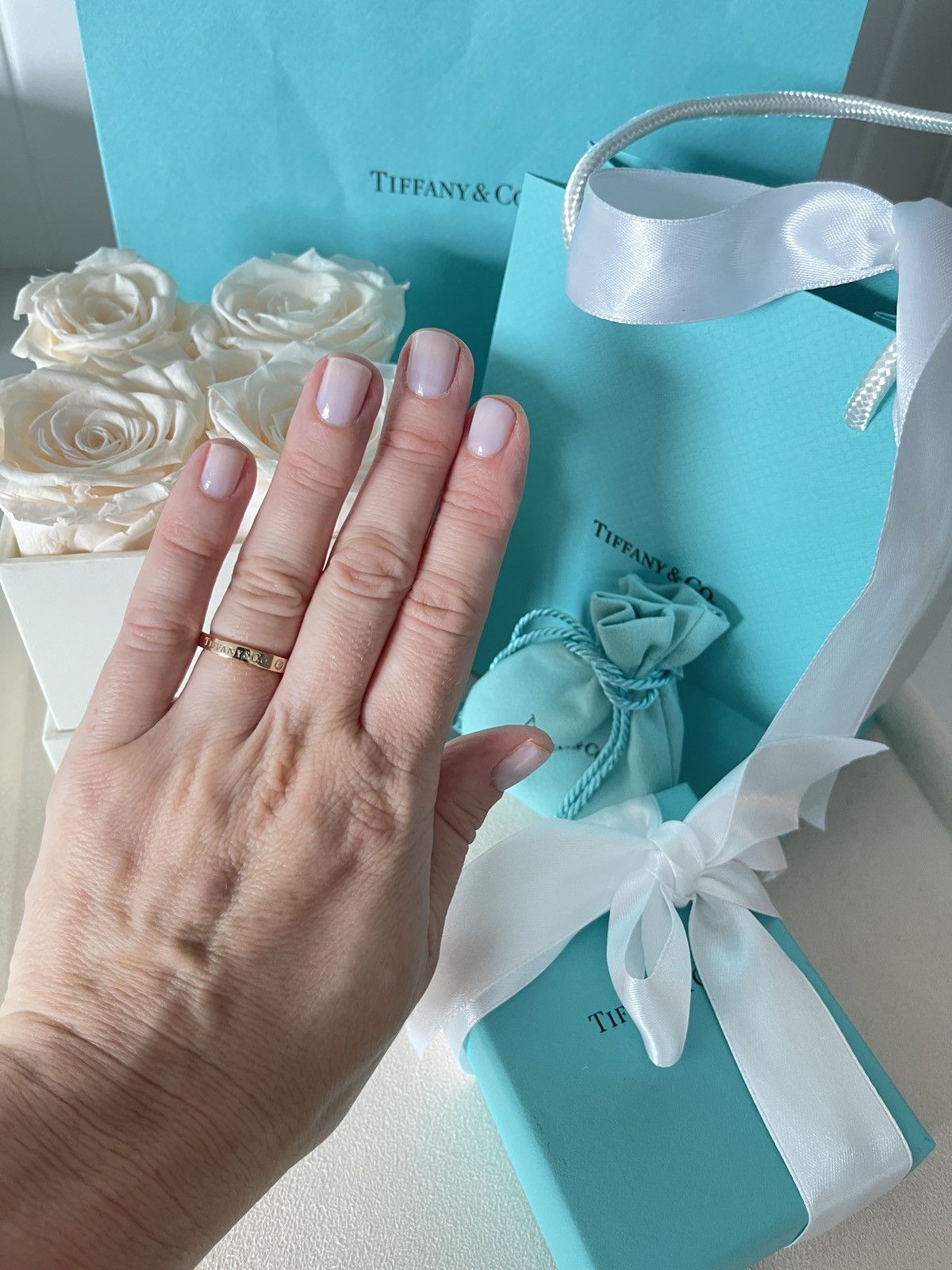 Tiffany & Co. Band Ring with Diamonds RG size 5 NEW $1850