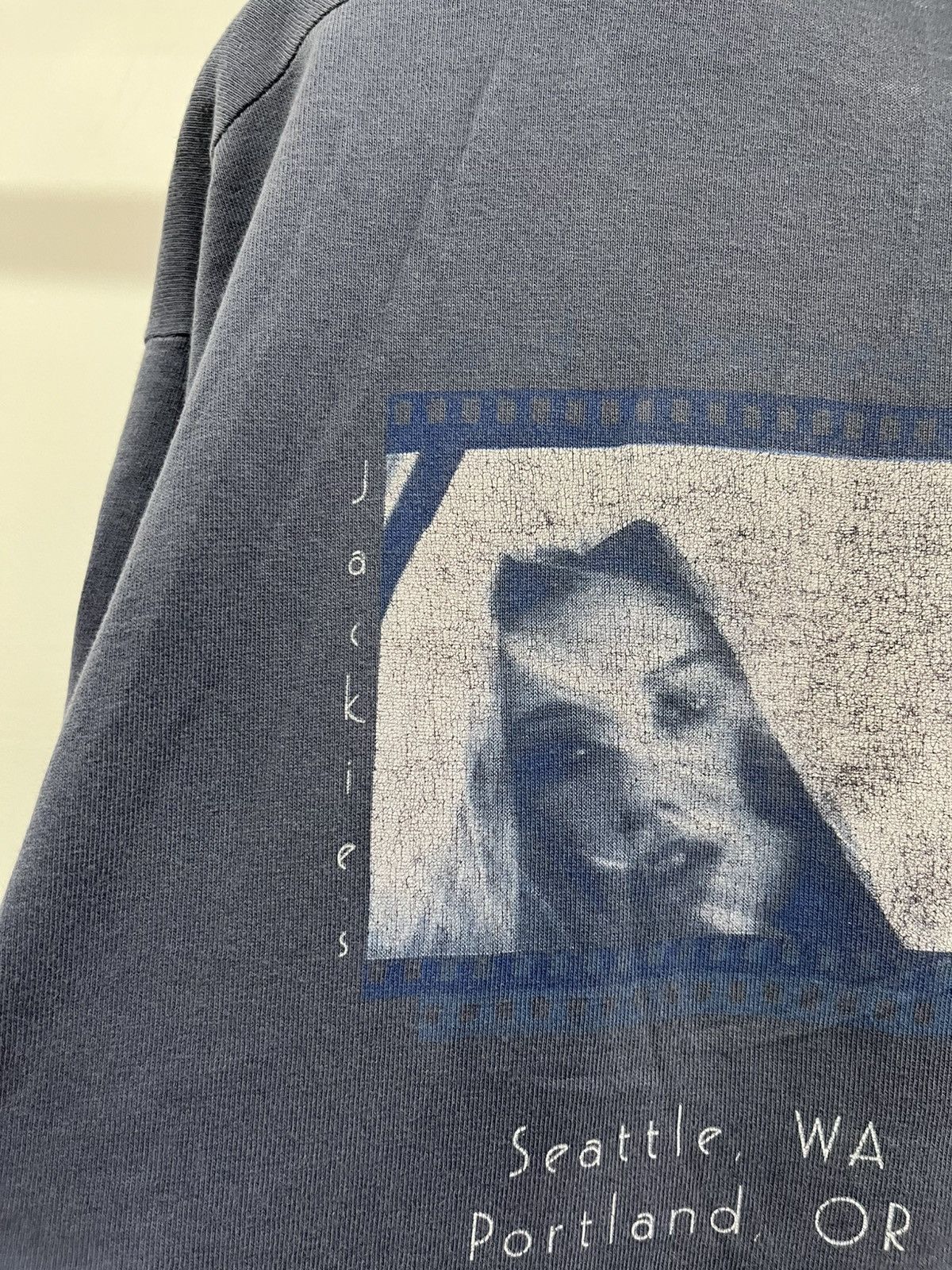 Band Tees Vintage tori amos tees Size US L / EU 52-54 / 3 - 5 Thumbnail