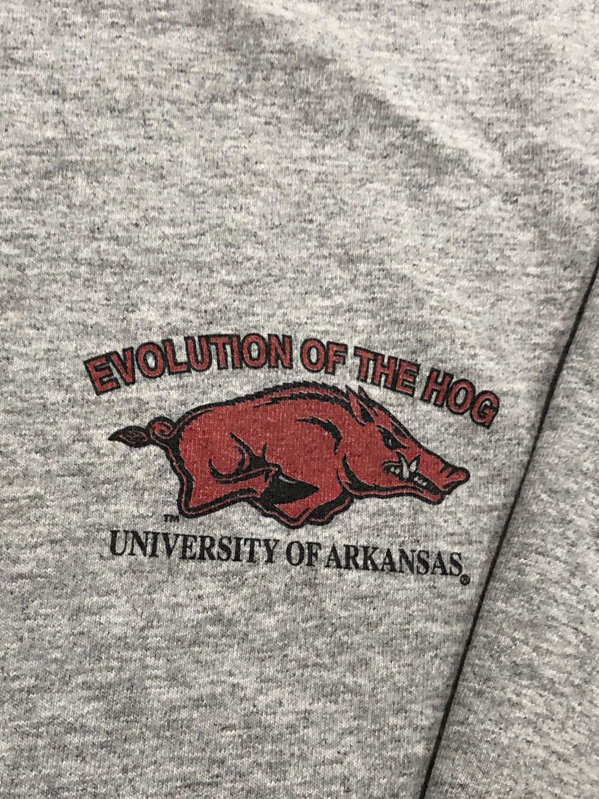 Vintage Vtg Y2K 2003 Evolution of Arkansas Razorbacks Long Sleeve Size US M / EU 48-50 / 2 - 8 Thumbnail