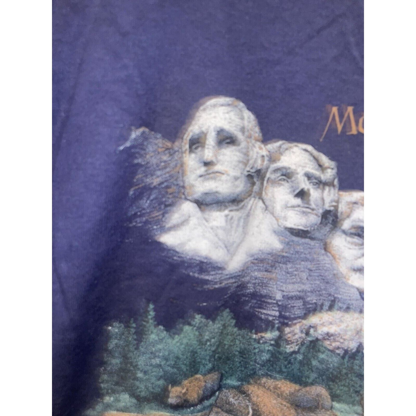 Jerzees Vintage Mount Rushmore Shirt President Bison Blue Tee 90s M Size US M / EU 48-50 / 2 - 3 Thumbnail
