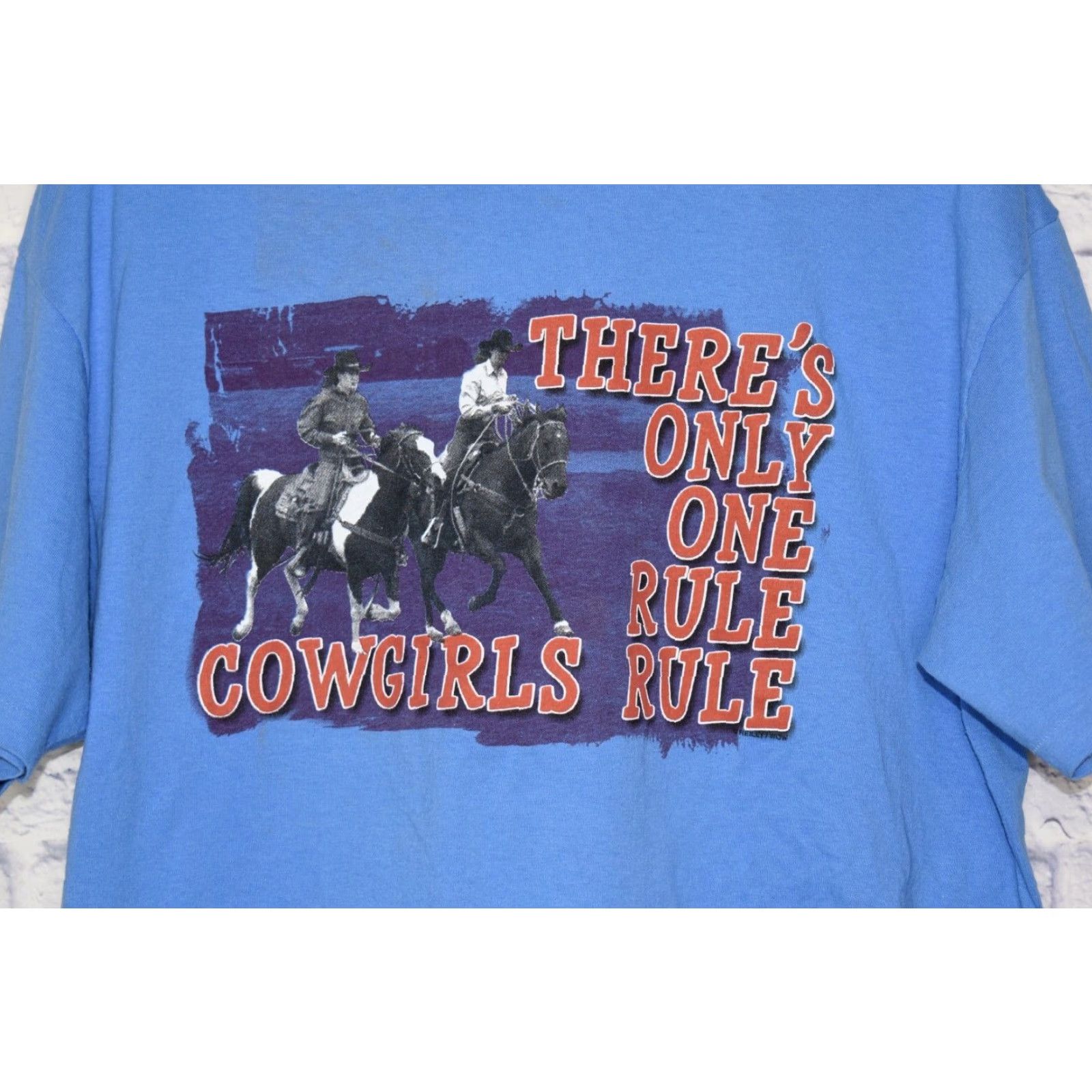 Anvil VINTAGE Anvil Western T-Shirt Cowgirl Horse Riding Womens Medium Blue Shirt Size M / US 6-8 / IT 42-44 - 2 Thumbnail