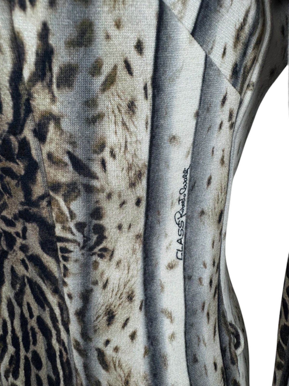 Cavalli Class × Roberto Cavalli Roberto Cavalli Class Dress Animal Print Knee Length IT44 Size M / US 6-8 / IT 42-44 - 6 Thumbnail