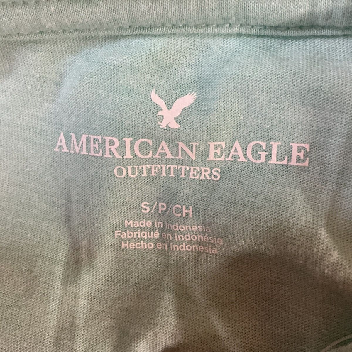 American Eagle Outfitters American Eagle Outfitters Men’s Small Mint NWT Tee Size US S / EU 44-46 / 1 - 4 Thumbnail