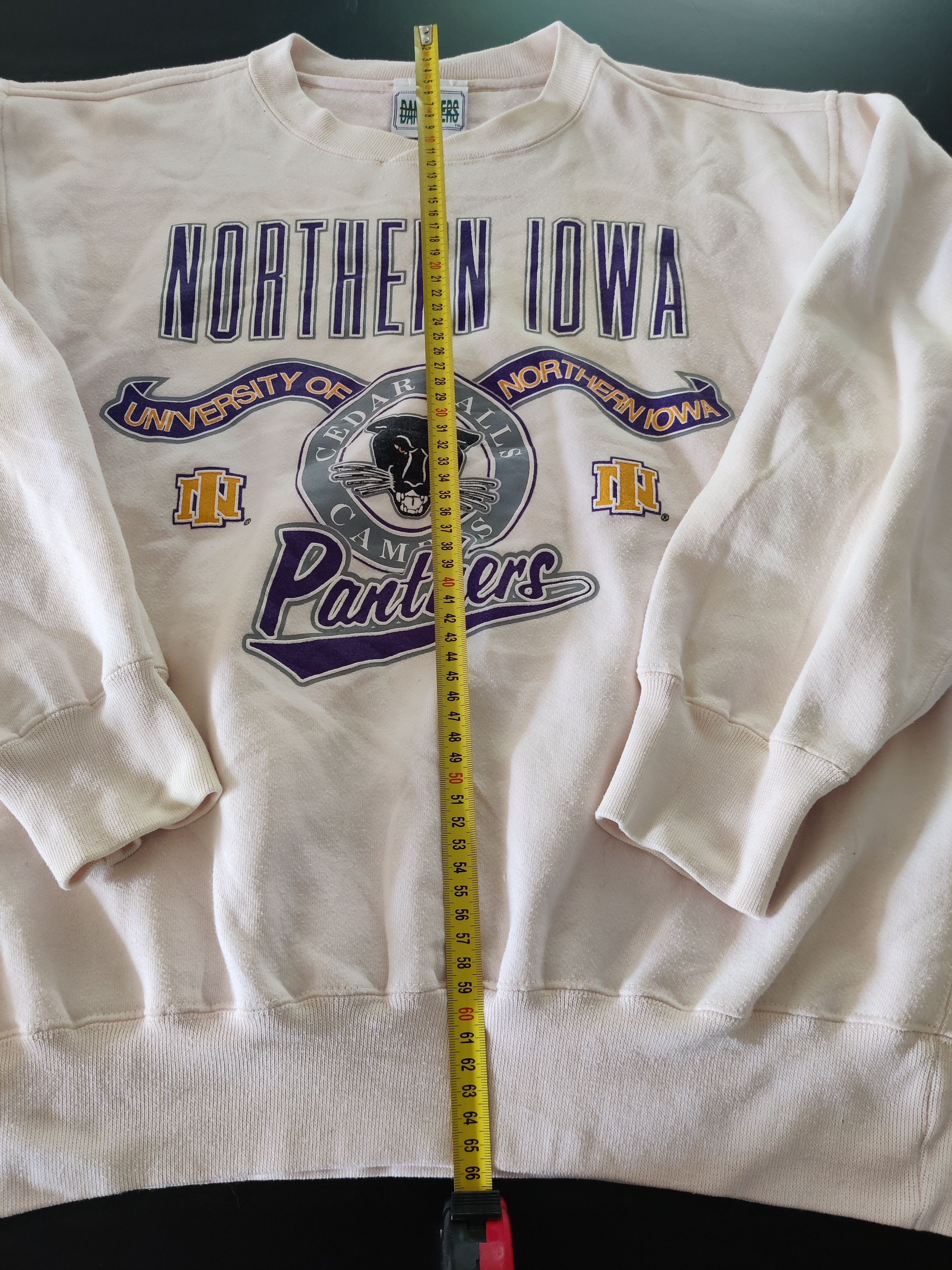 Other Danaggers Northern Iowa Panthers NCAA Vintage 90s Crewneck M Size US M / EU 48-50 / 2 - 9 Thumbnail