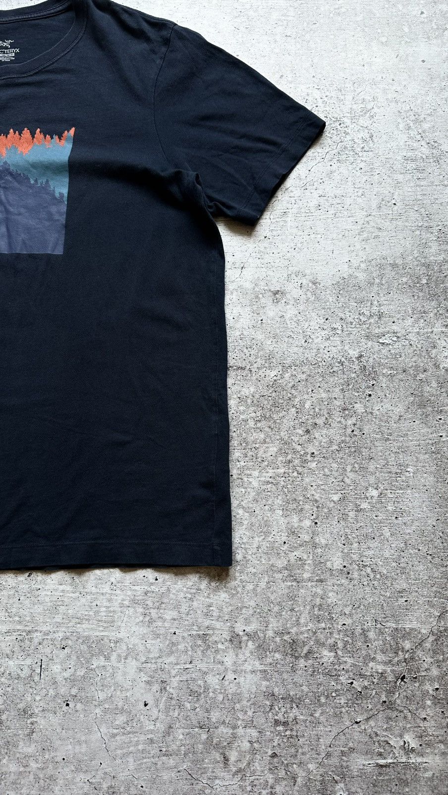 Arc'teryx Vintage Arcteryx Logo Gorpcore T Shirt Size US M / EU 48-50 / 2 - 2 Thumbnail