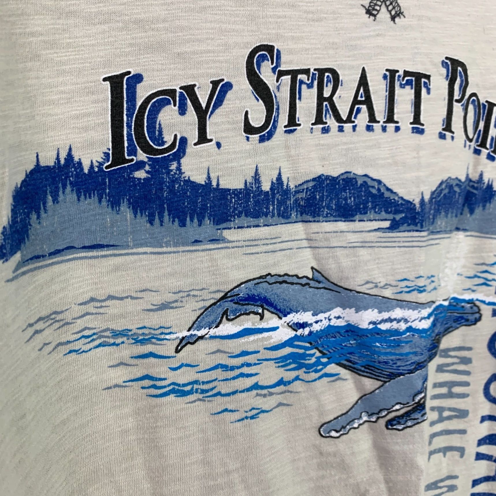 Sunray Sportswear Ouray Sportswear T-Shirt Small Gray Crew Neck Long Sleeve Men Hoonah Alaska Whale Watcher Fish Pattern Size US S / EU 44-46 / 1 - 4 Thumbnail