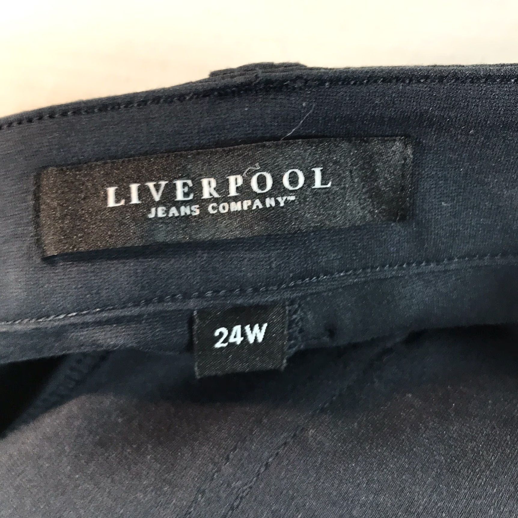 Vintage Liverpool Jeans Night Sky Blue Stretchy Skinny Pants Plus Size 24W Womens Size 42" / US 20 - 4 Thumbnail